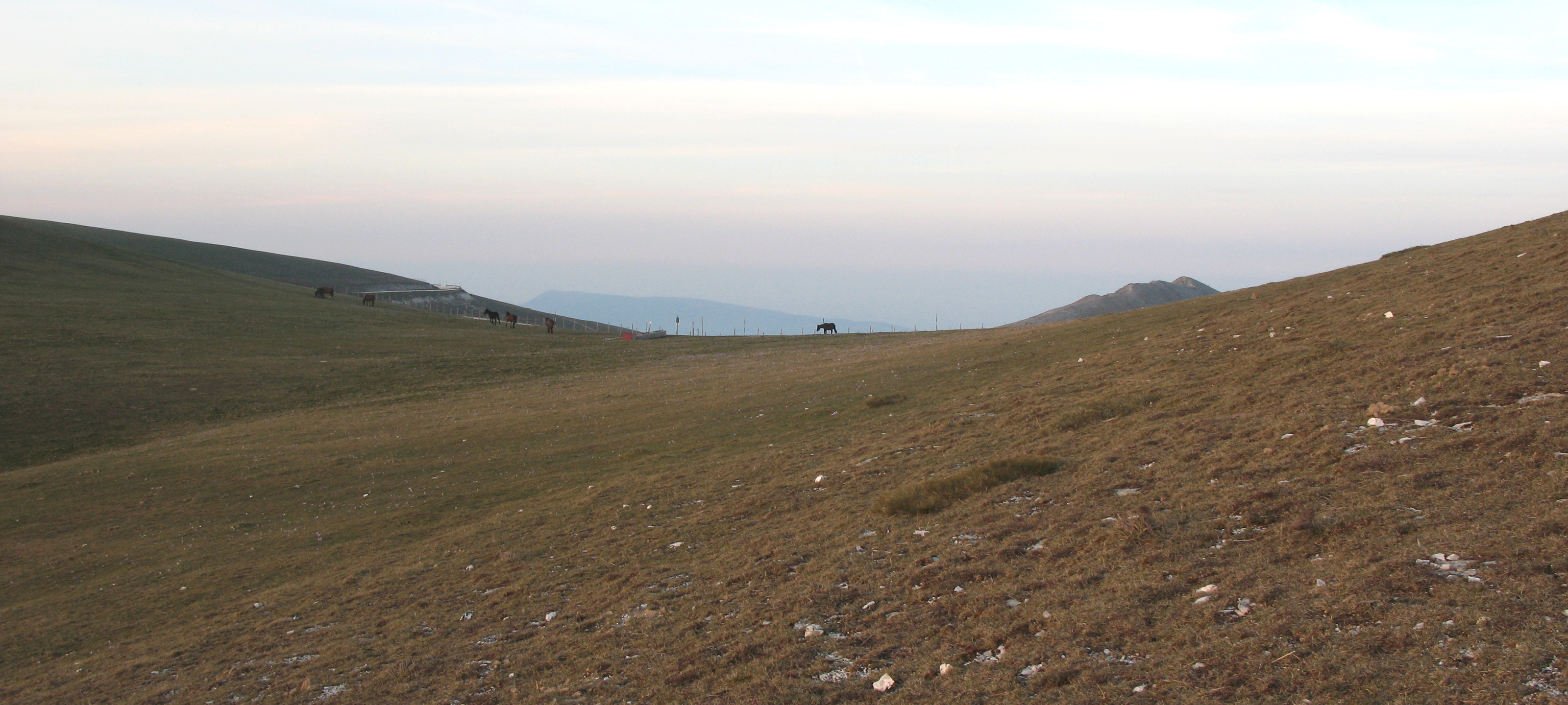 Monte Catria Sentiero 59 - immagine 13 (Monte Tenetra)