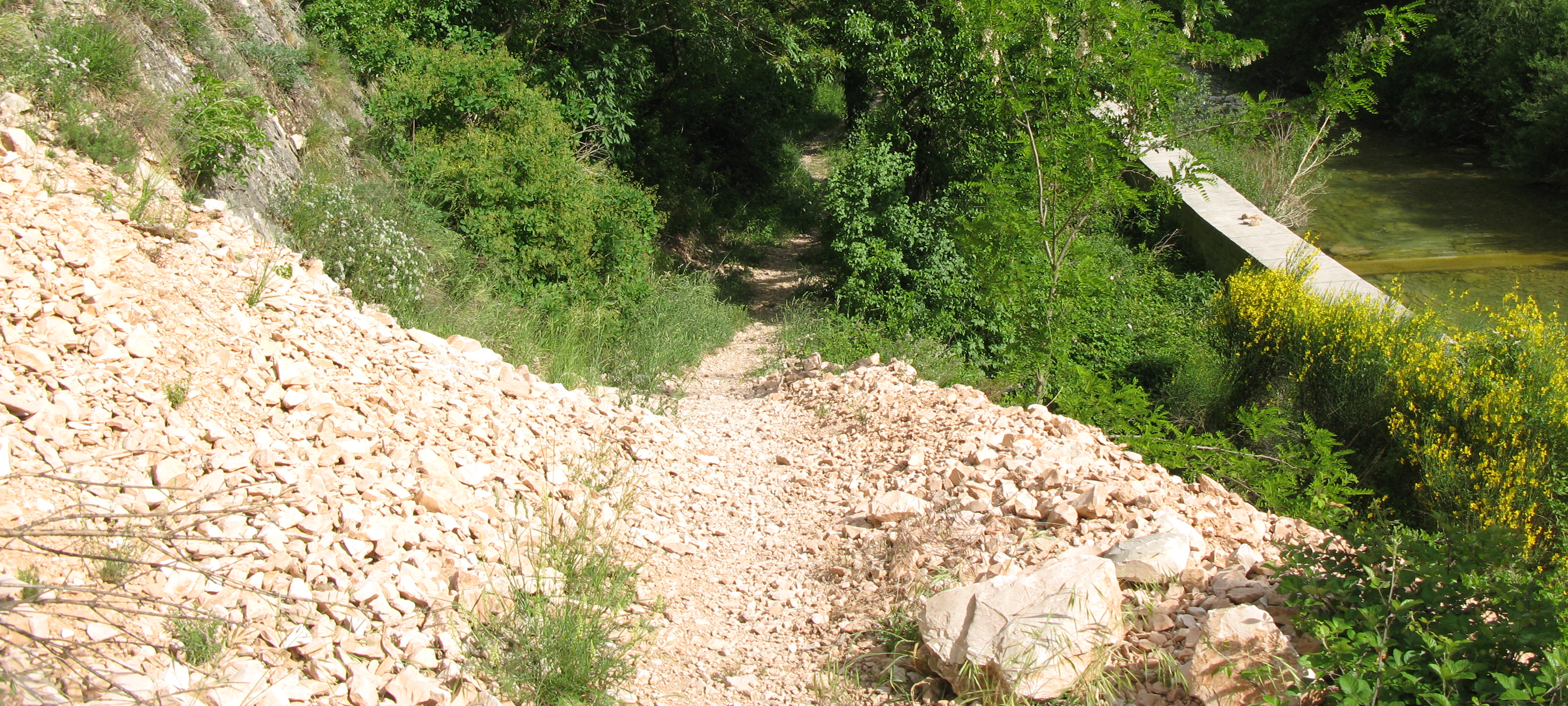 Monte Nerone Sentiero 6 - immagine 2
