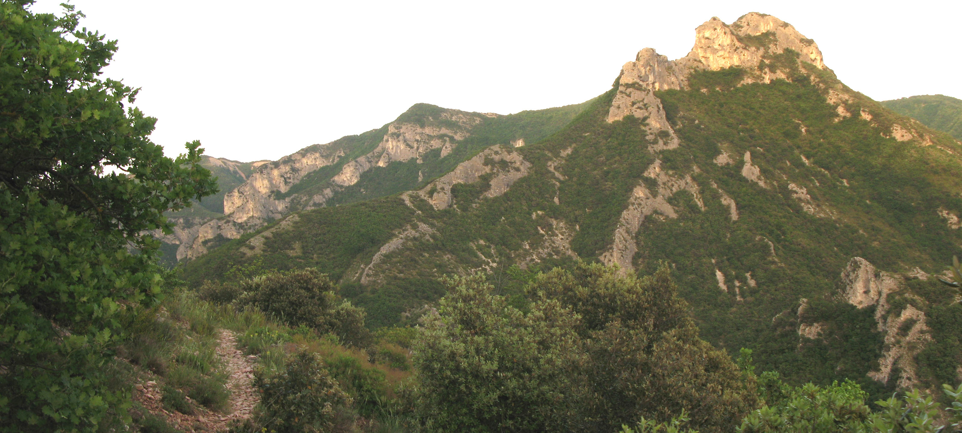 Monte Nerone Sentiero 6 - immagine 7