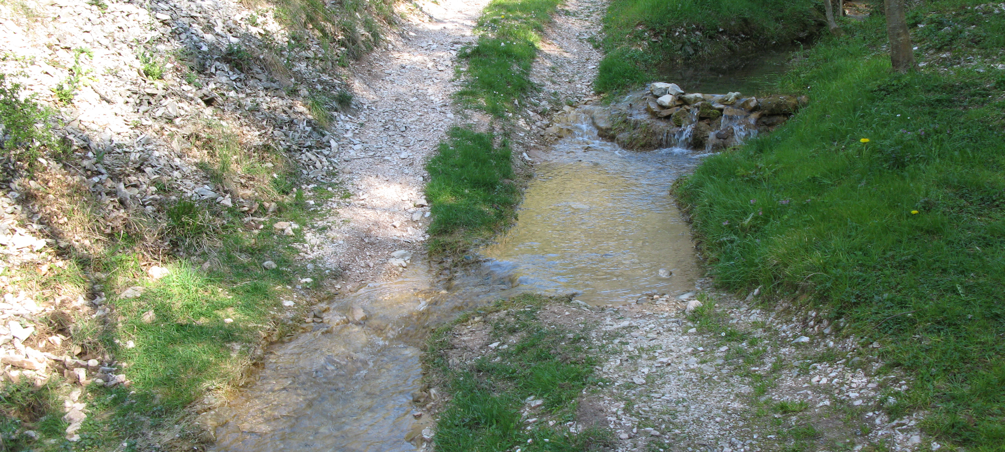 Monte Catria Sentiero 60 - immagine 2