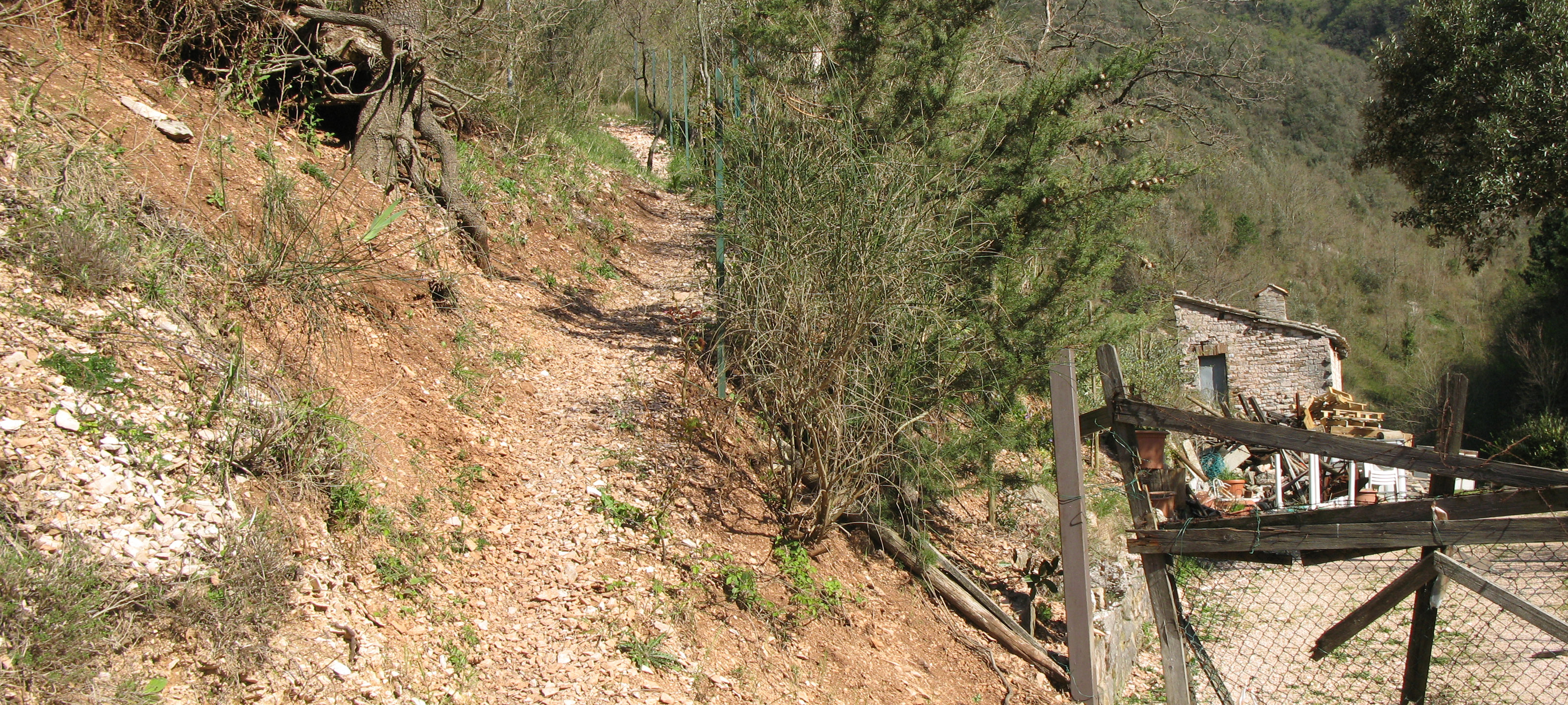 Monte Catria Sentiero 60 - immagine 3