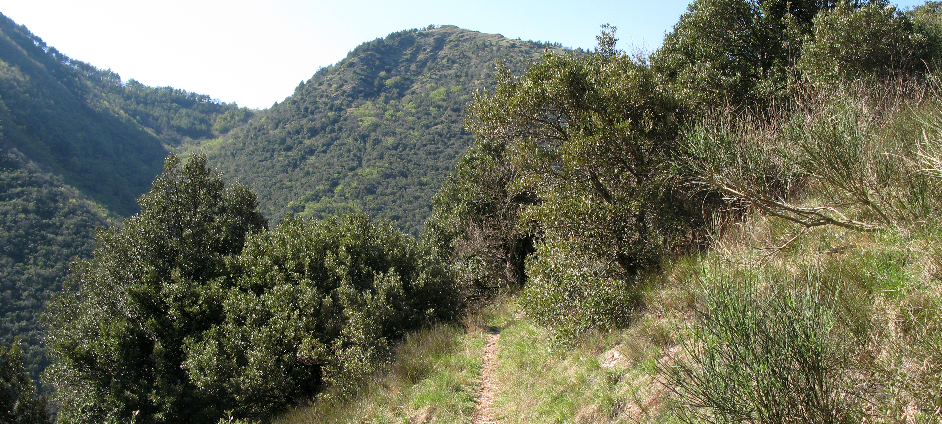Monte Catria Sentiero 60 - immagine 4
