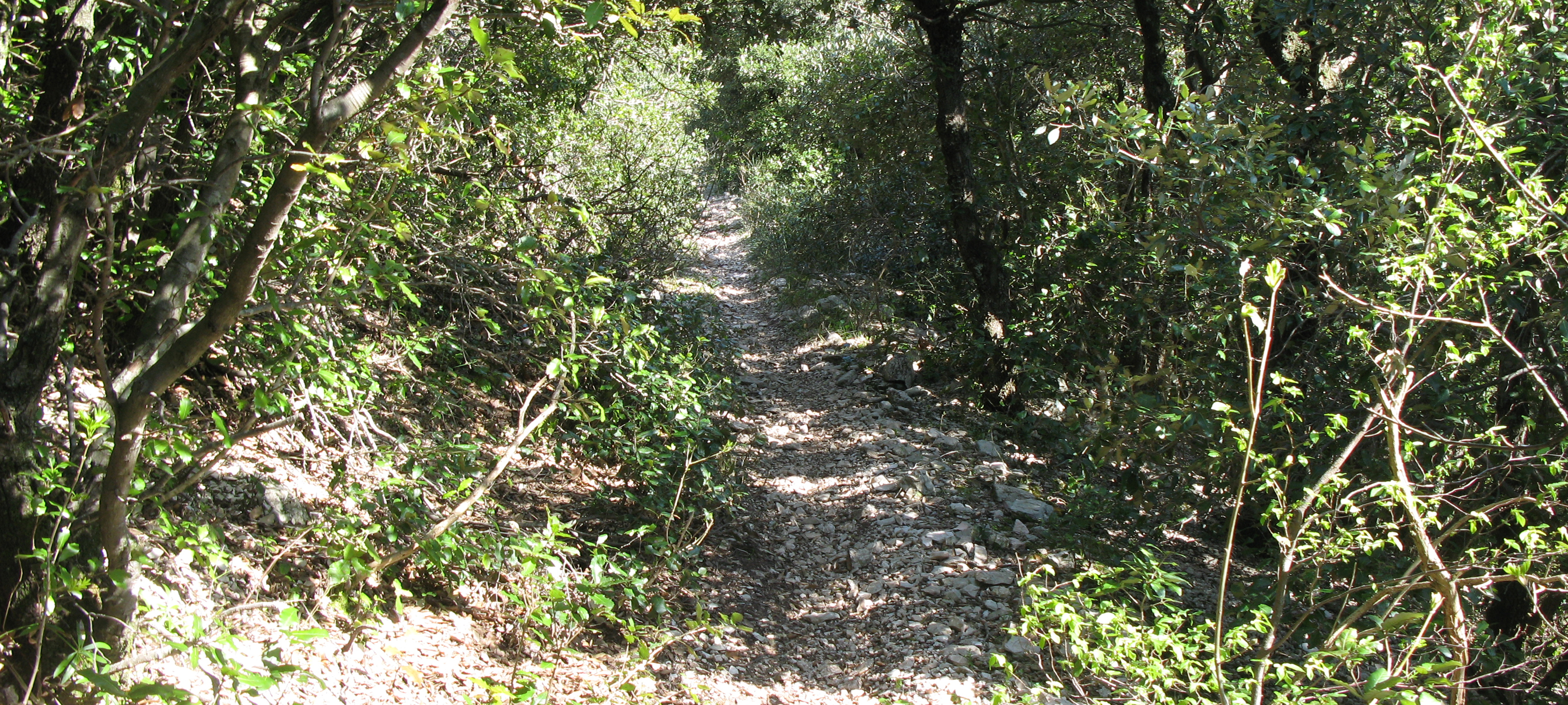 Monte Catria Sentiero 60 - immagine 5