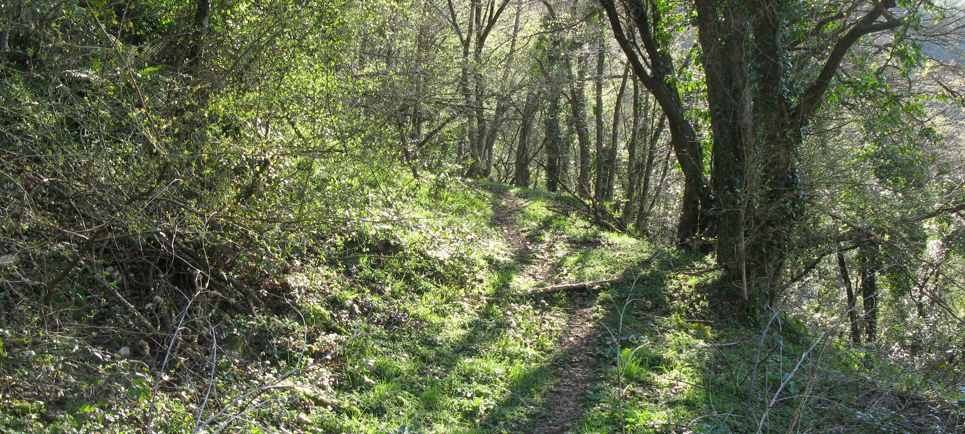 Monte Catria Sentiero 60 - immagine 6