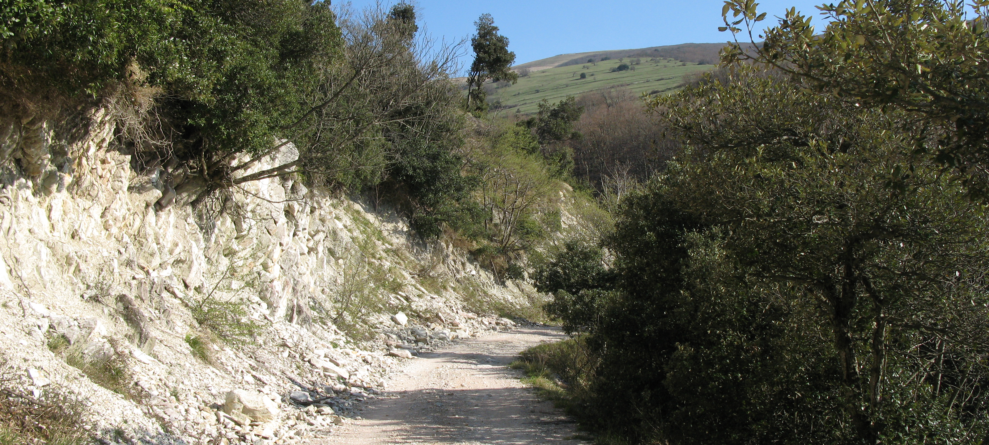 Monte Catria Sentiero 60 - immagine 8
