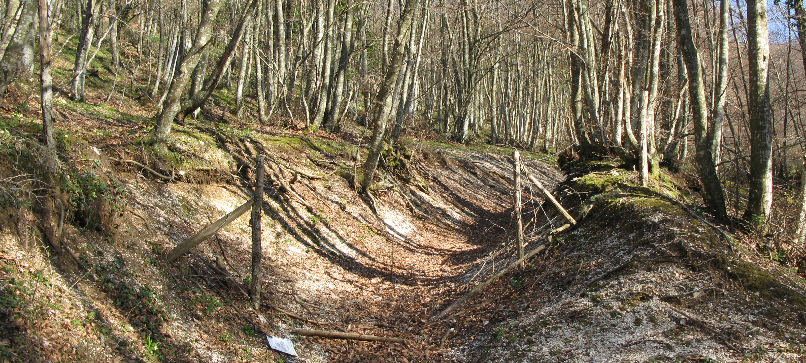 Monte Catria Sentiero 60 - immagine 10a