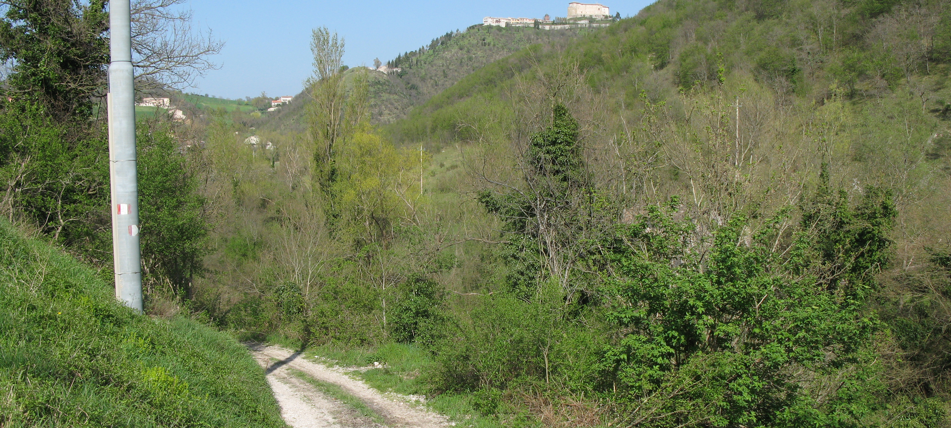 Monte Catria Sentiero 61 - immagine 1