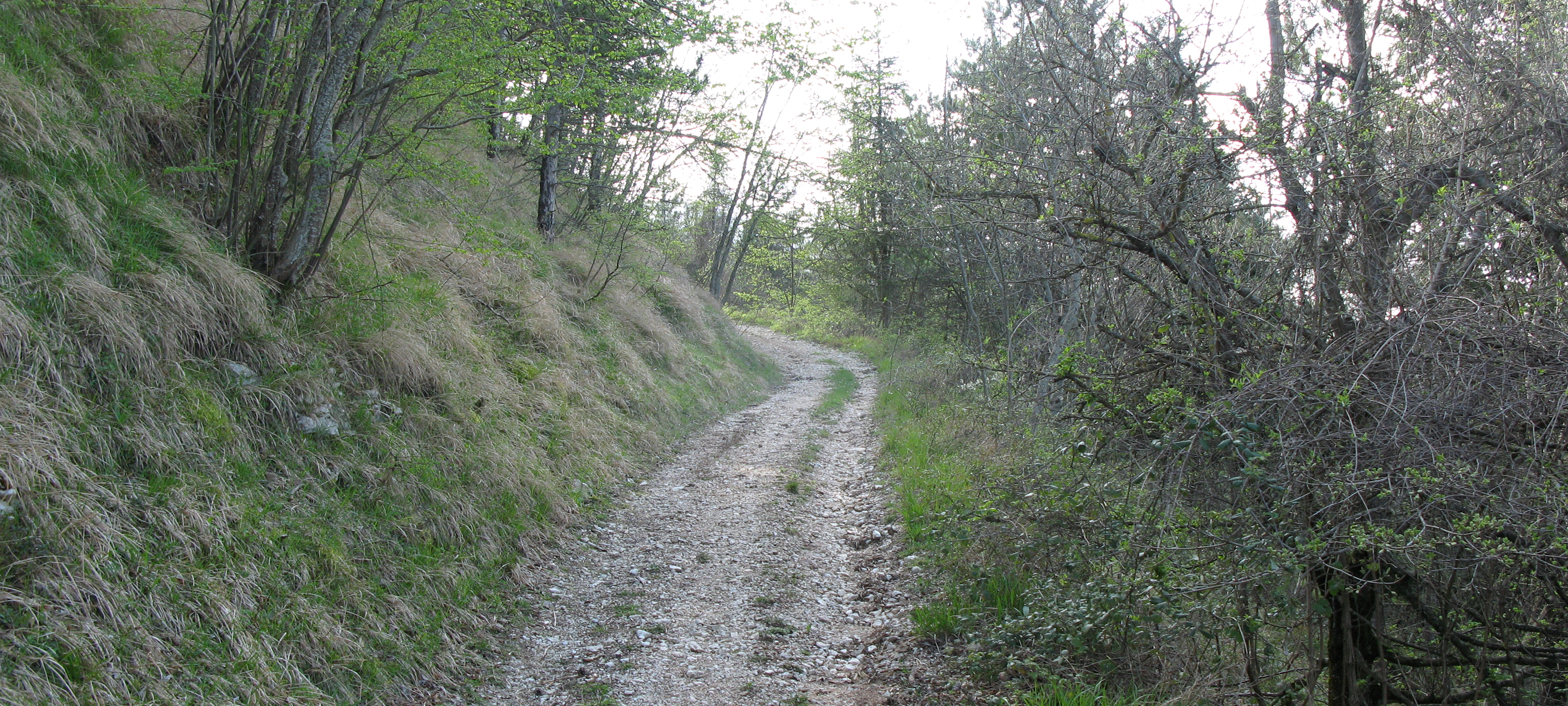 Monte Catria Sentiero 61 - immagine 4