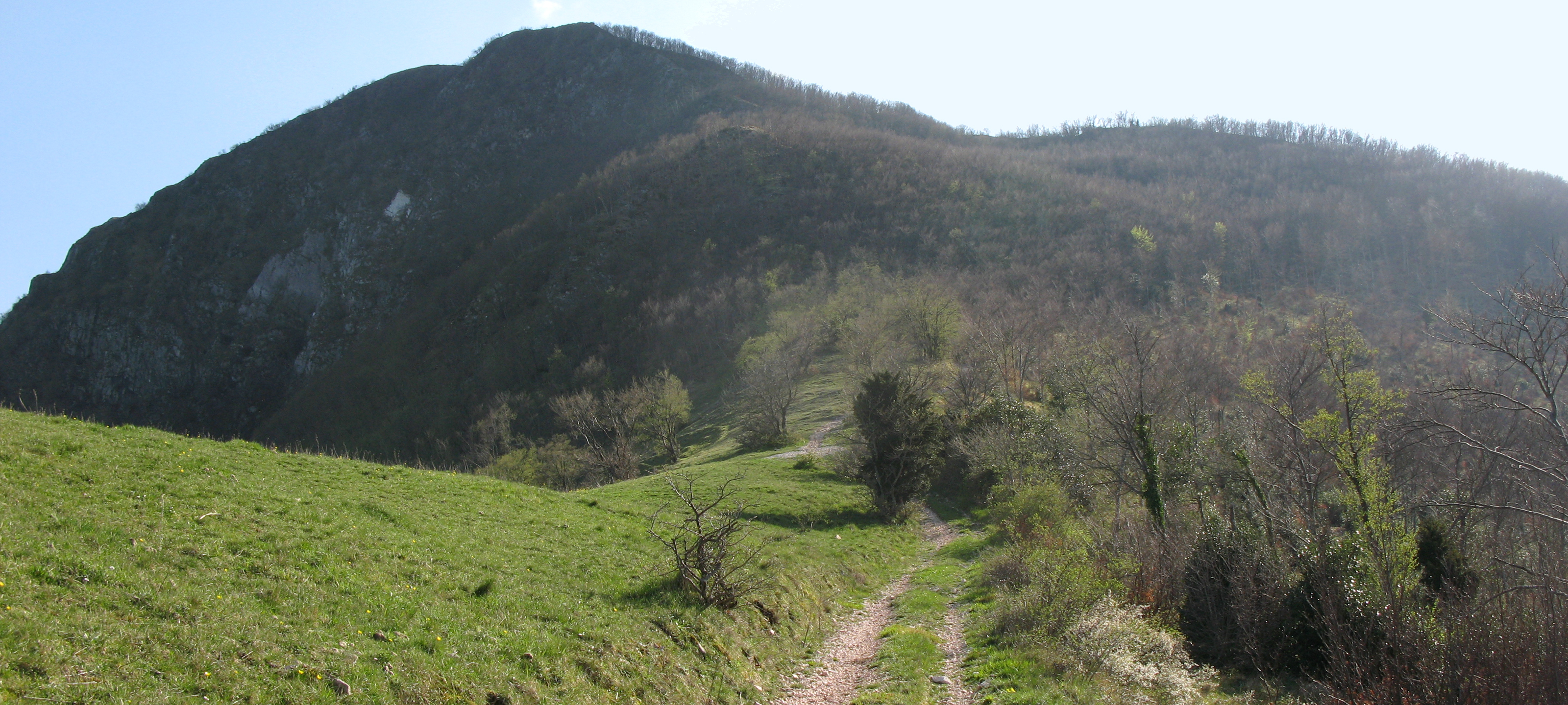 Monte Catria Sentiero 61 - immagine 5 (Monte Schioppettino)