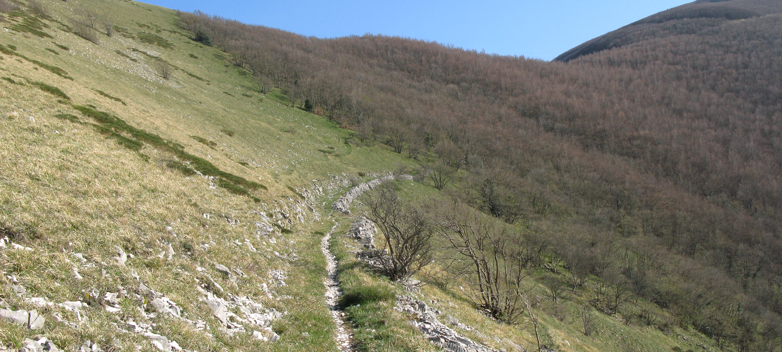 Monte Catria Sentiero 61 - immagine 6