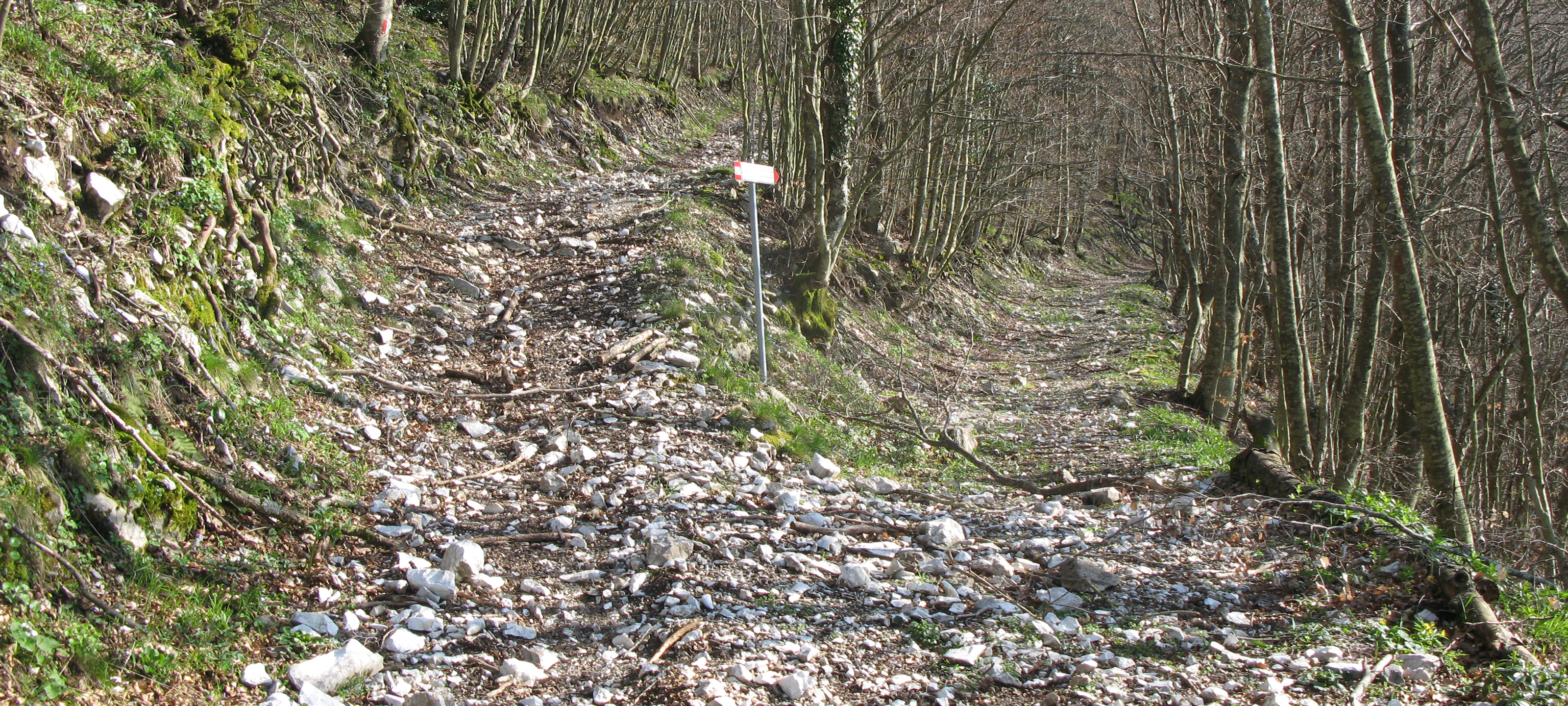 Monte Catria Sentiero 61 - immagine 7