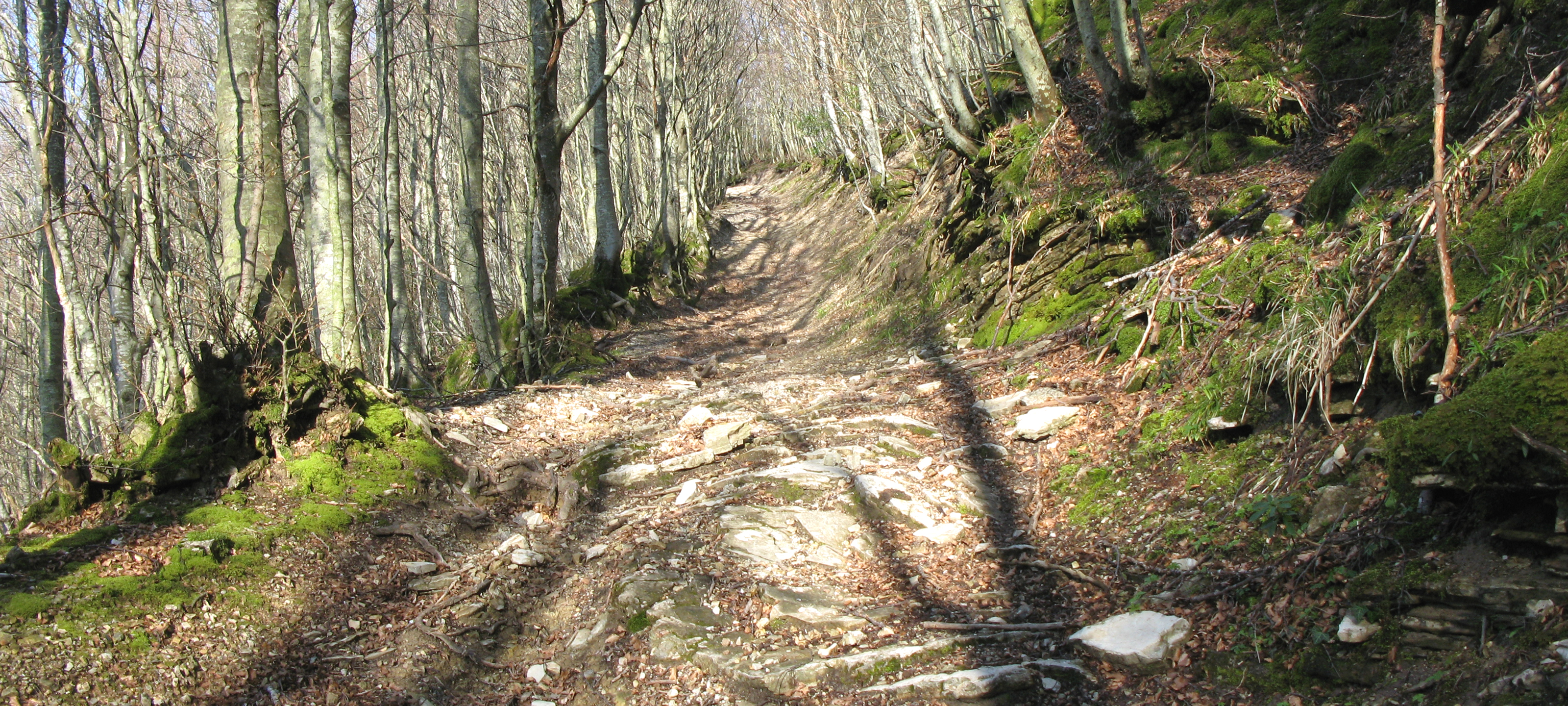 Monte Catria Sentiero 61 - immagine 8