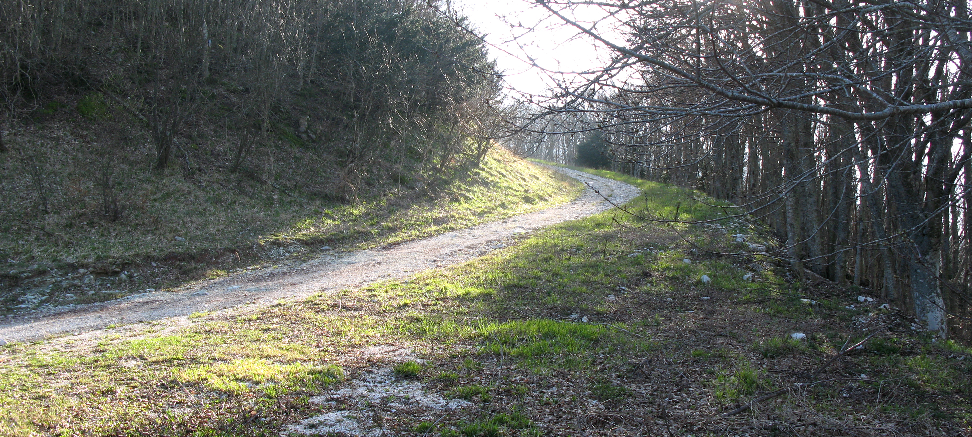 Monte Catria Sentiero 61 - immagine 9