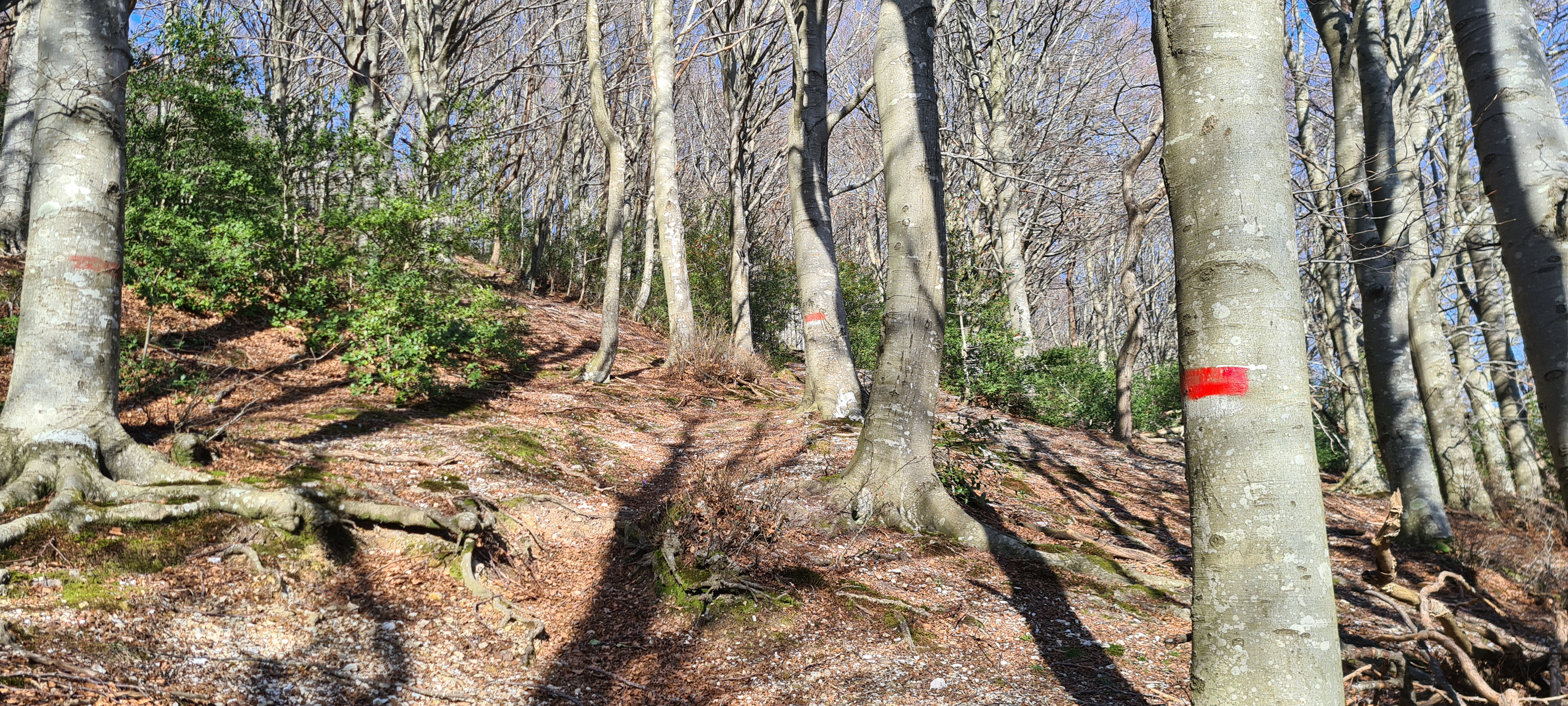 Monte Catria Sentiero 62 - immagine 2