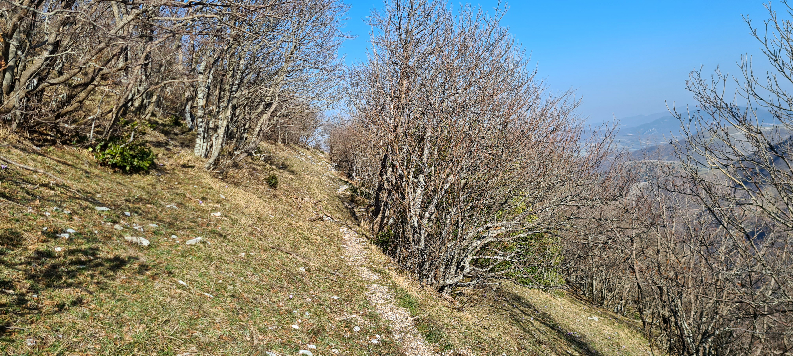 Monte Catria Sentiero 62 - immagine 4