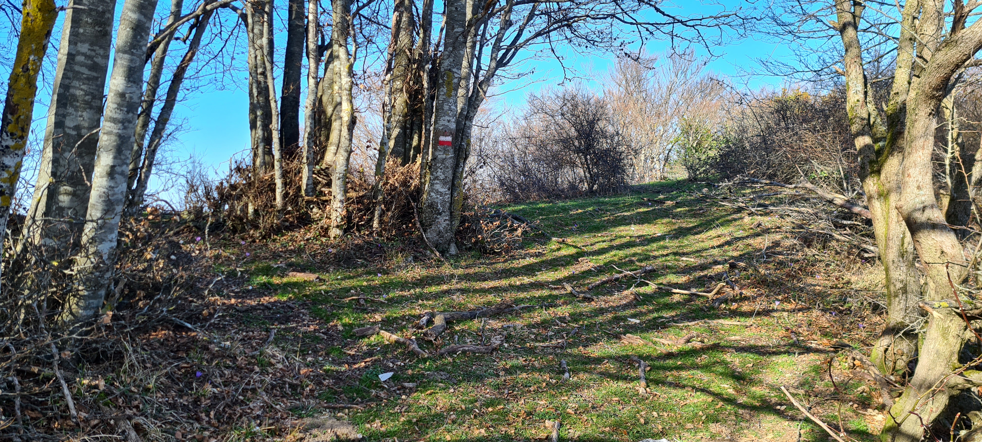 Monte Catria Sentiero 62 - immagine 6