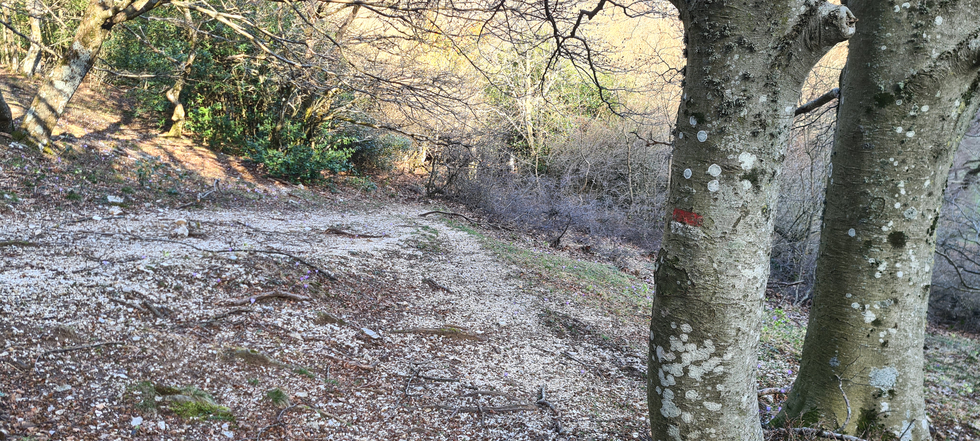 Monte Catria Sentiero 62 - immagine 11