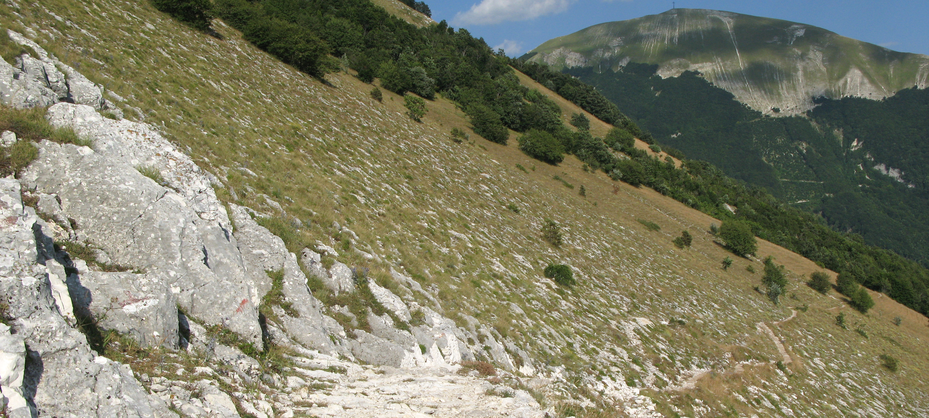 Monte Catria Sentiero 63 - immagine 1