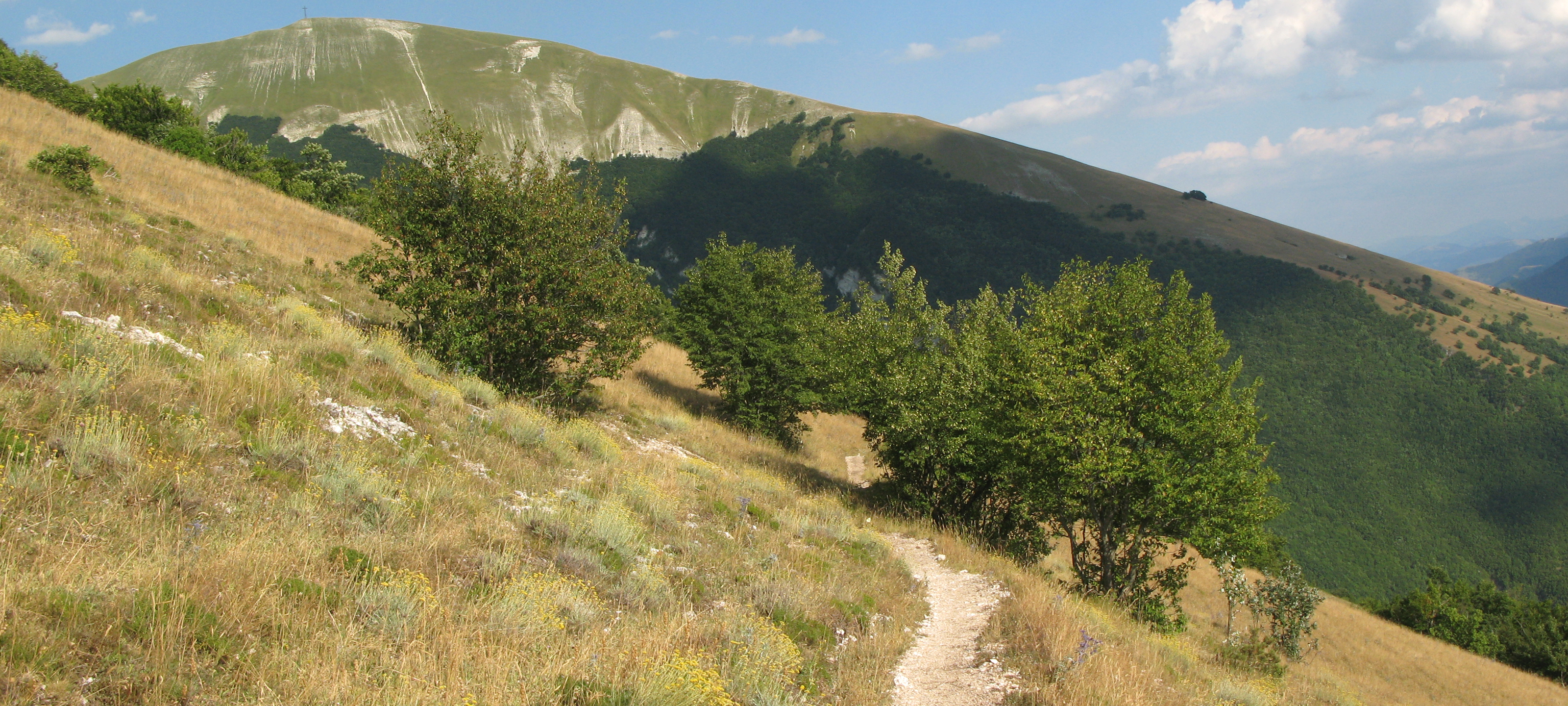 Monte Catria Sentiero 63 - immagine 2