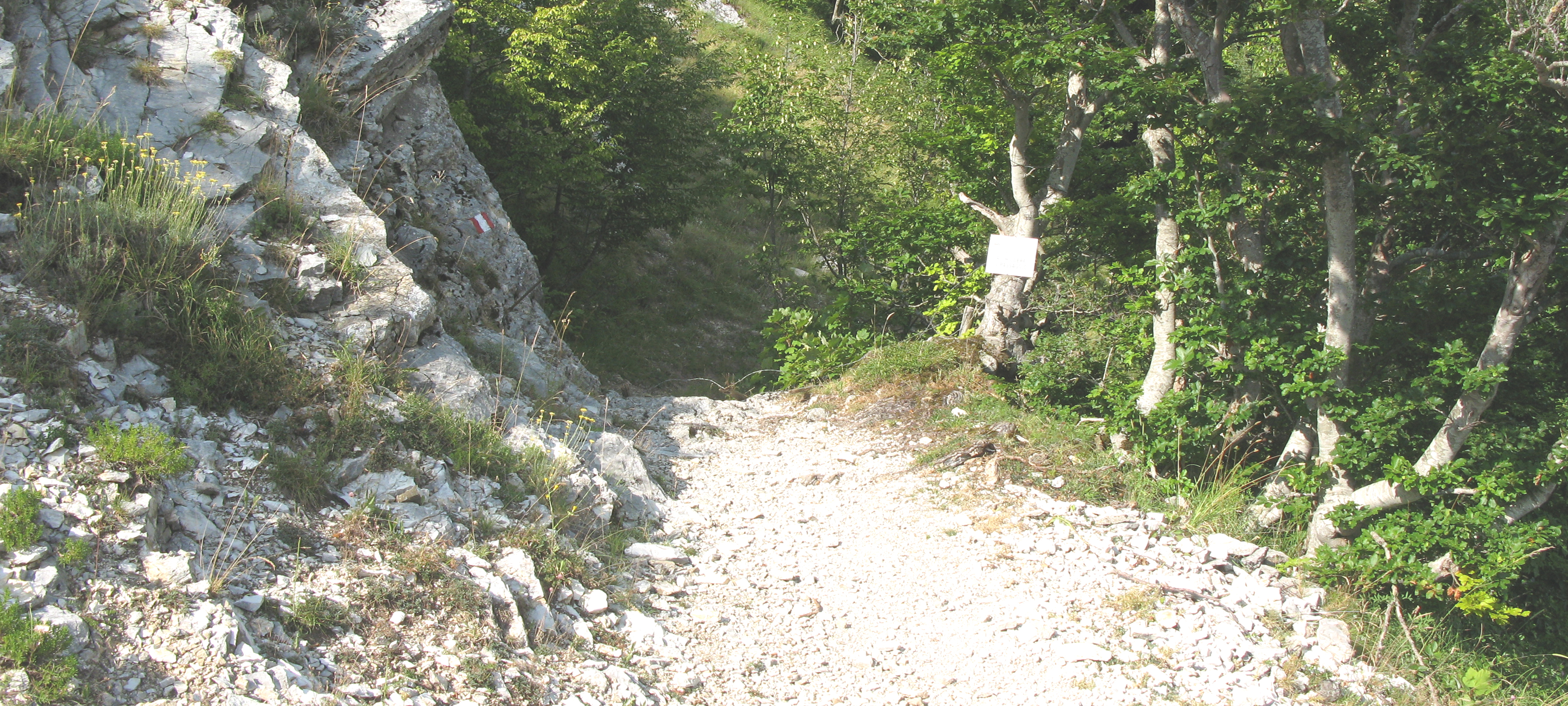 Monte Catria Sentiero 63 - immagine 3