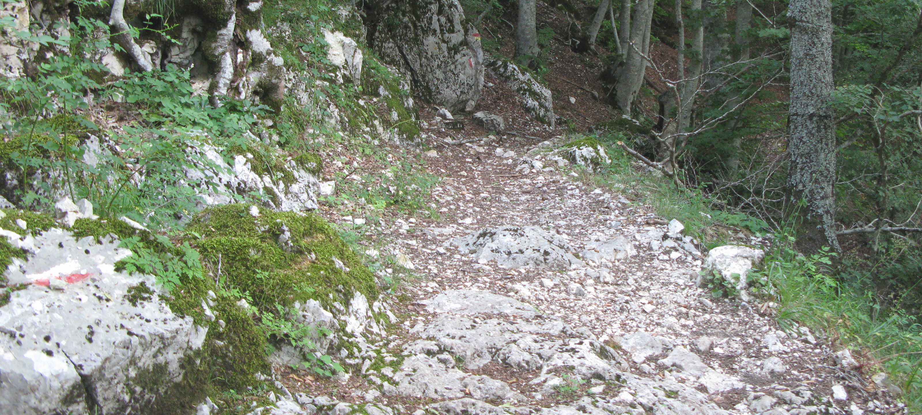 Monte Catria Sentiero 63 - immagine 4
