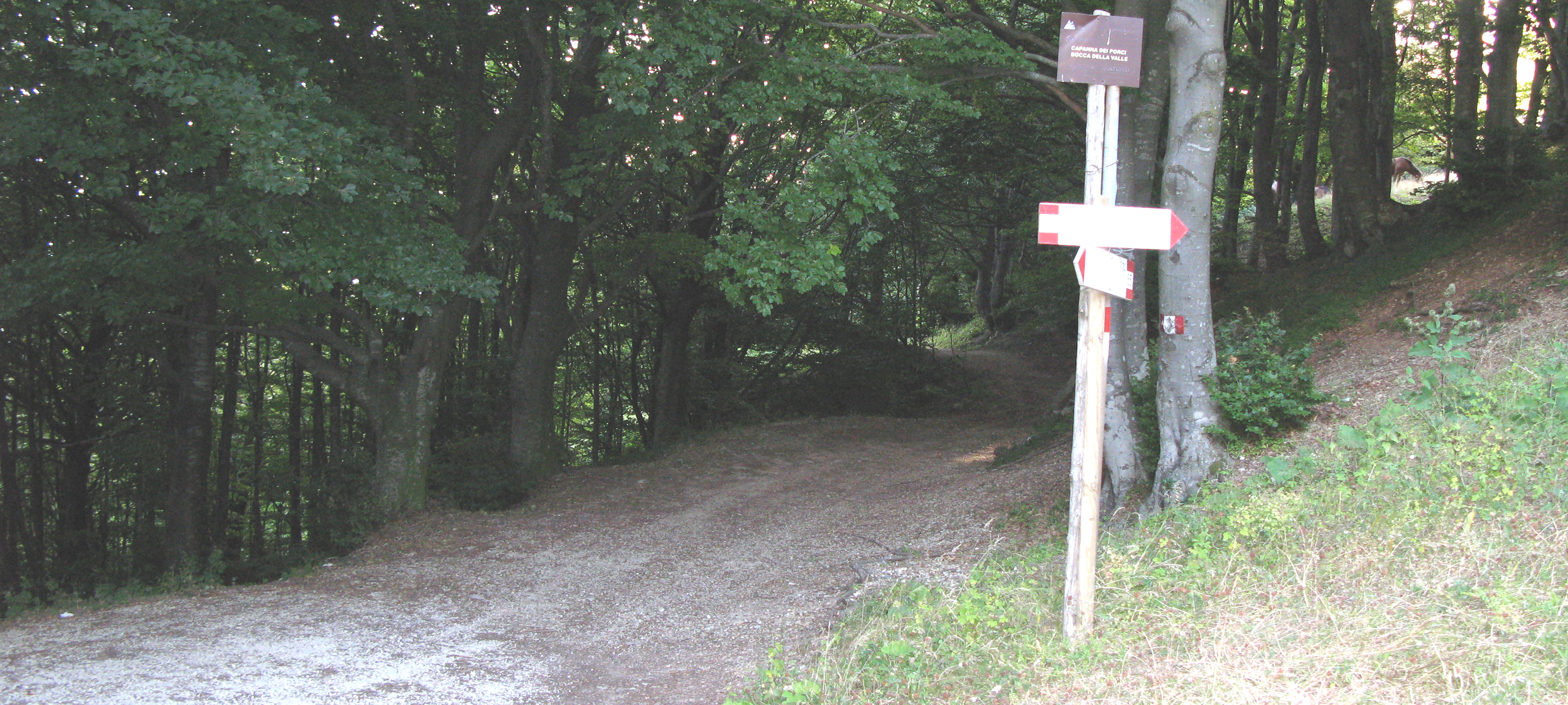 Monte Catria Sentiero 63 - immagine 5