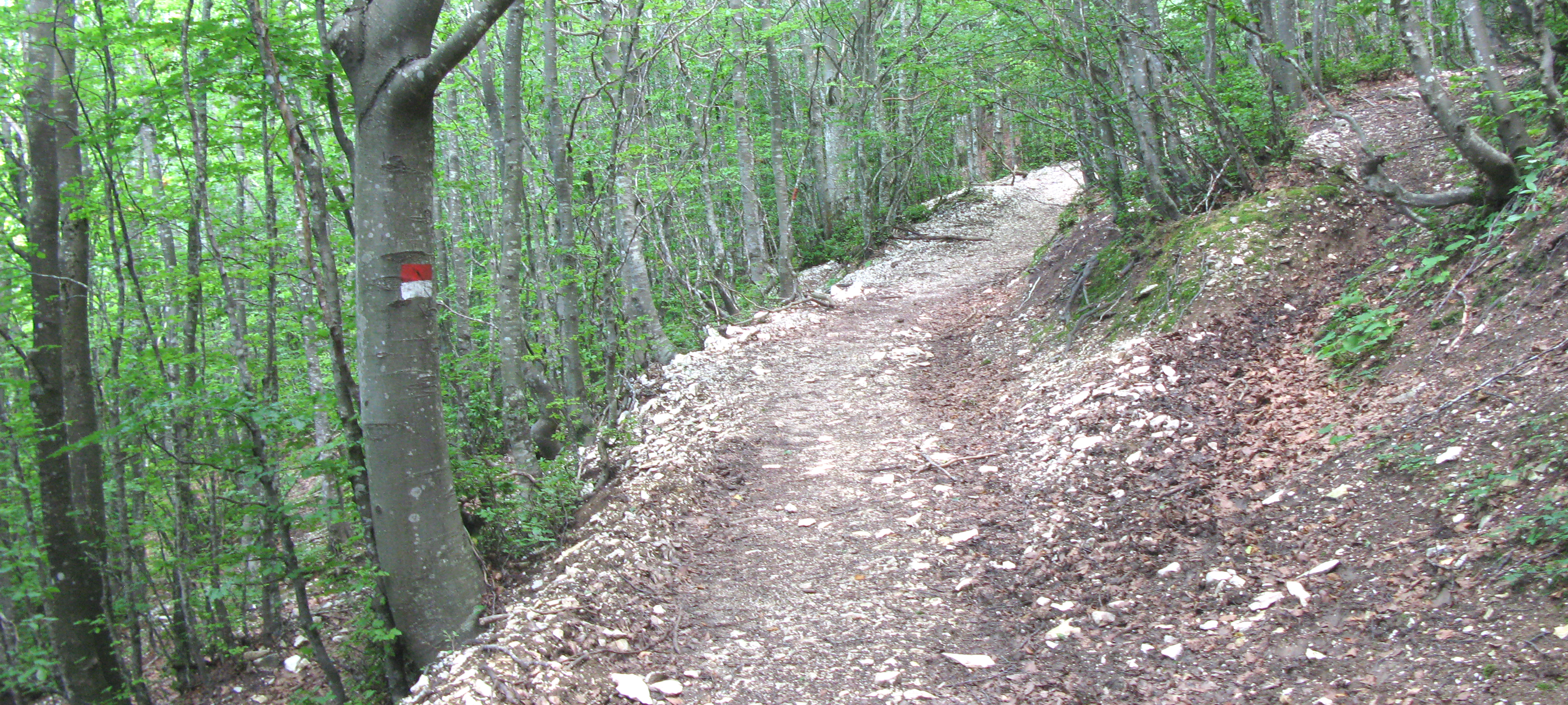 Monte Catria Sentiero 64 - immagine 2