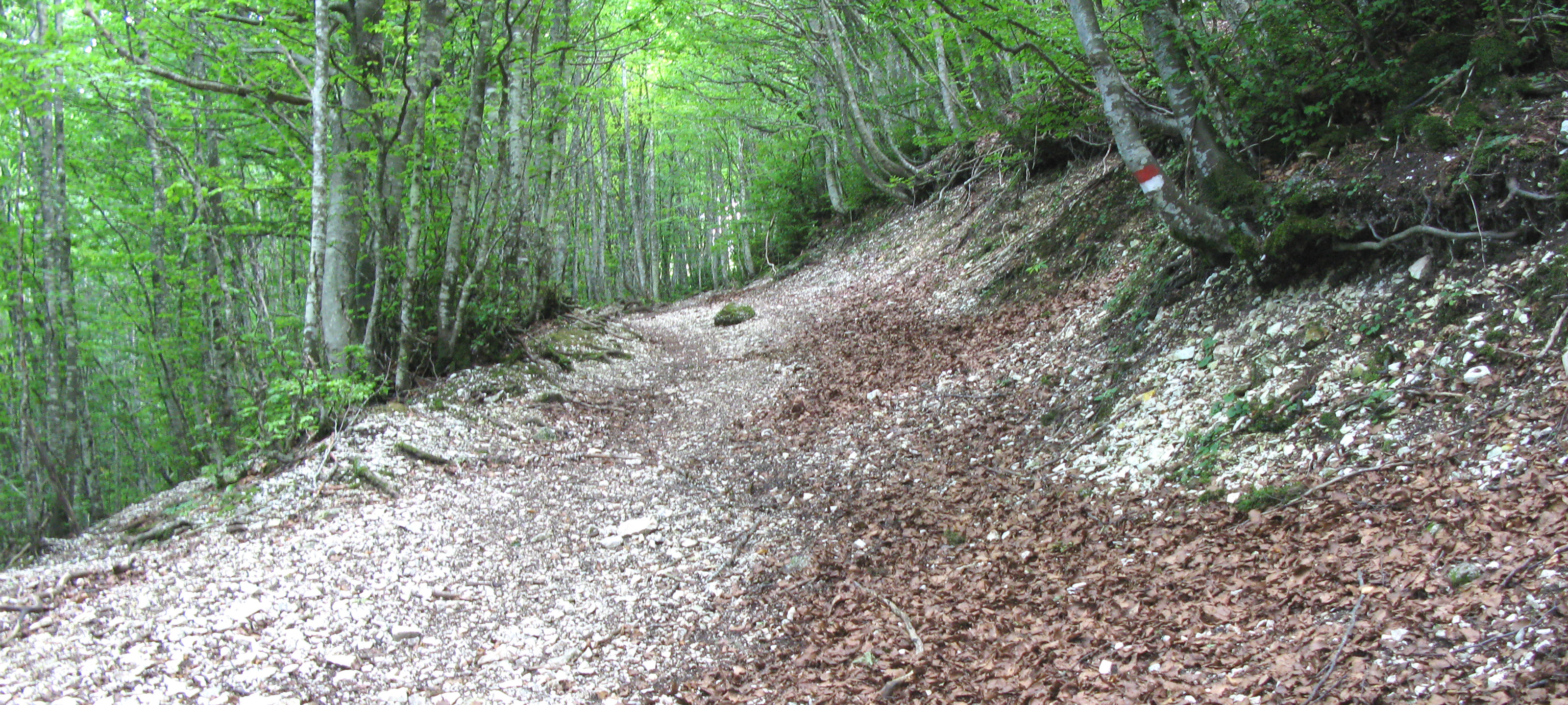 Monte Catria Sentiero 64 - immagine 3