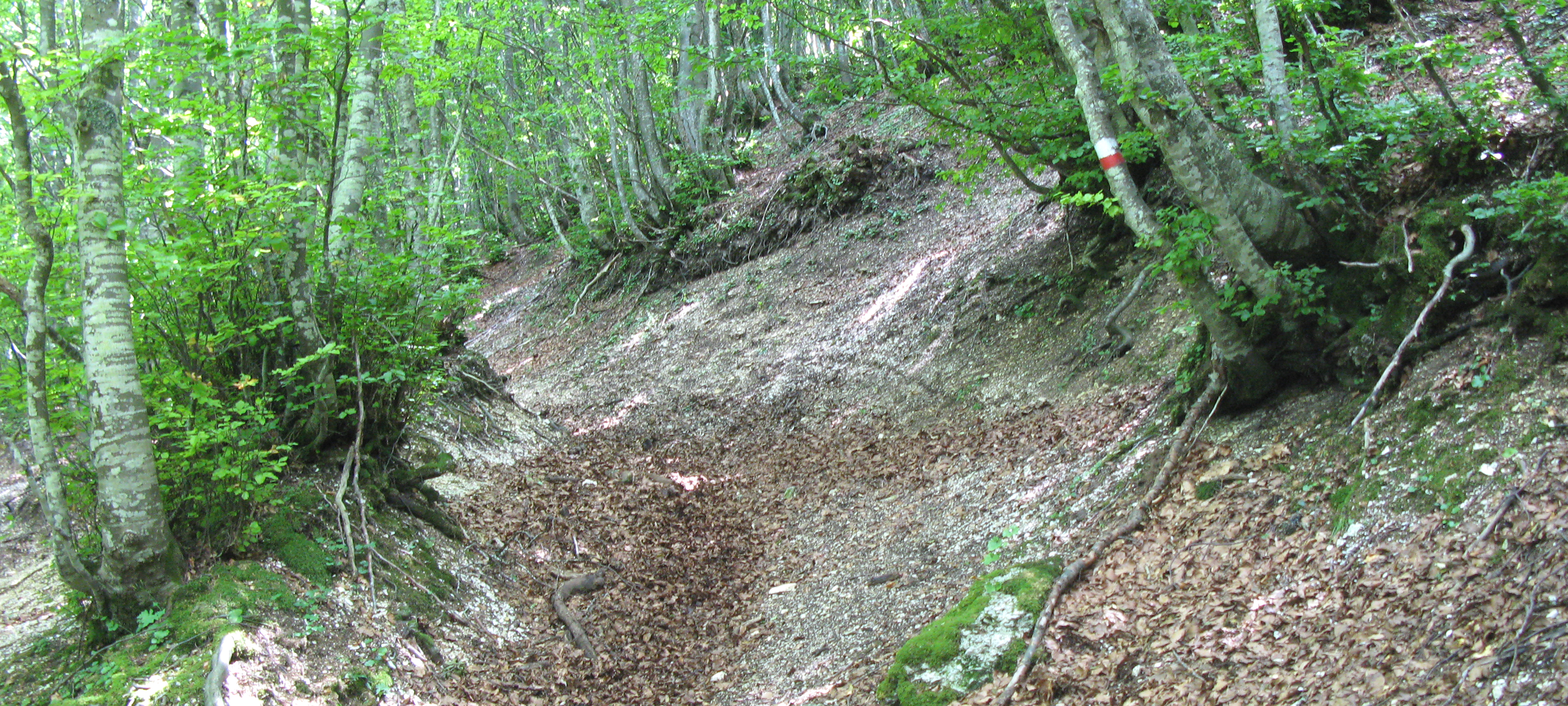 Monte Catria Sentiero 64 - immagine 4