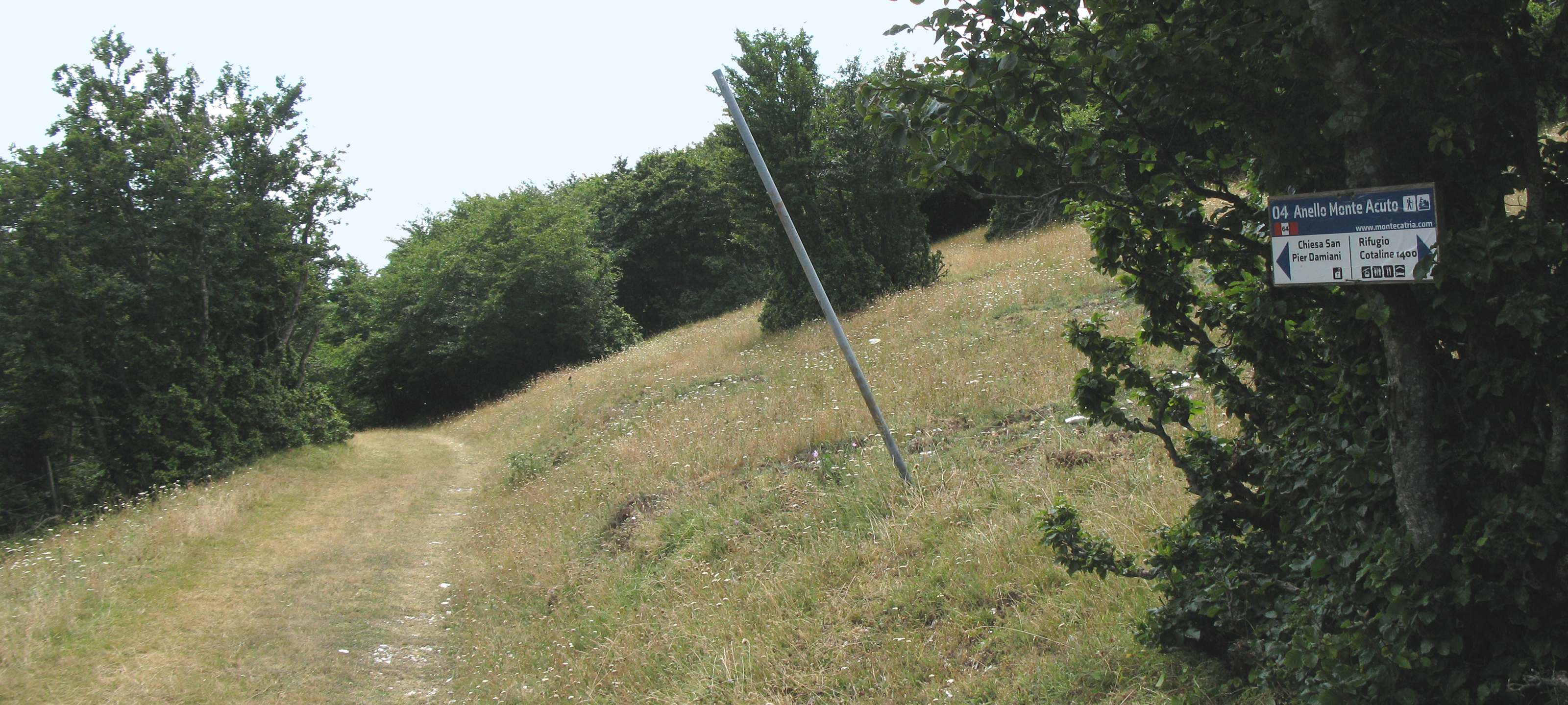 Monte Catria Sentiero 64 - immagine 6