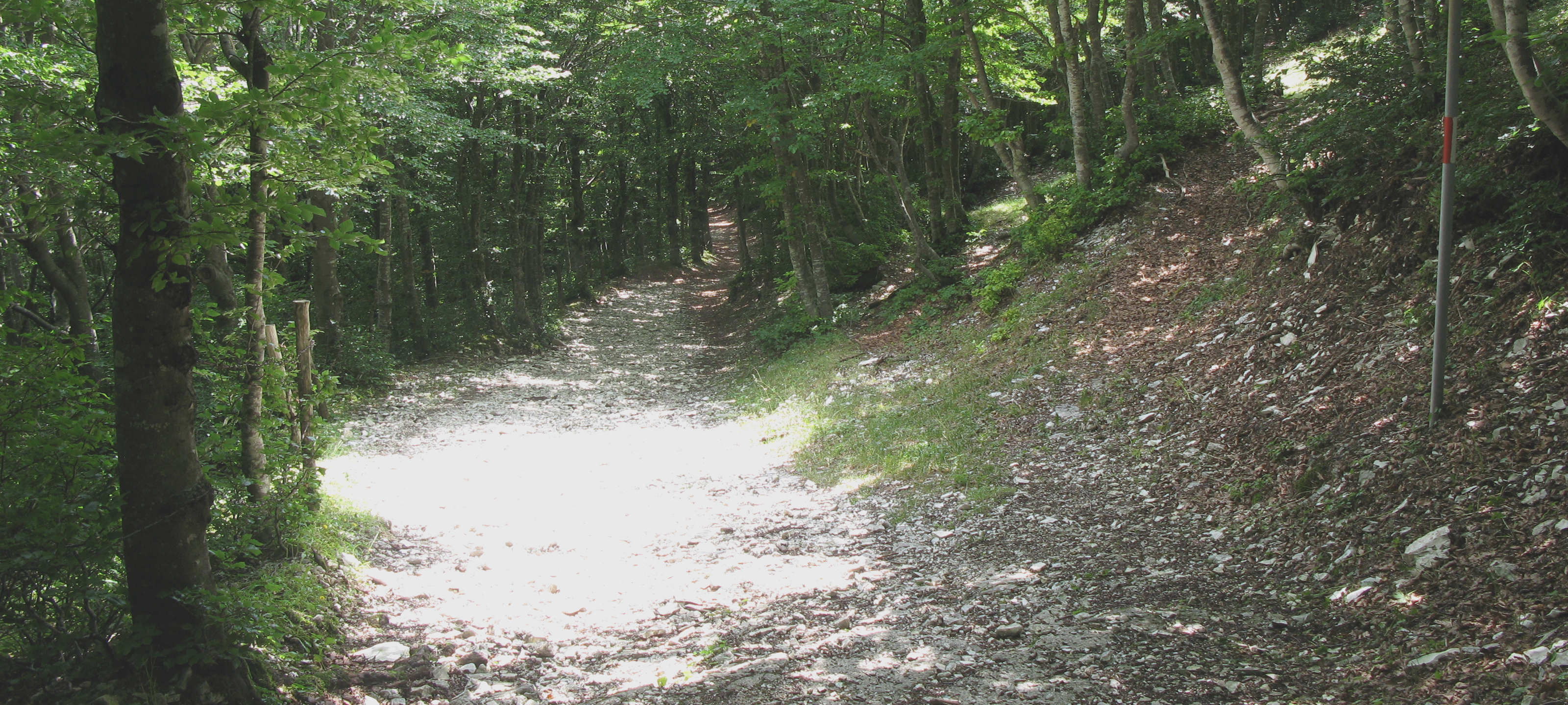 Monte Catria Sentiero 64 - immagine 7