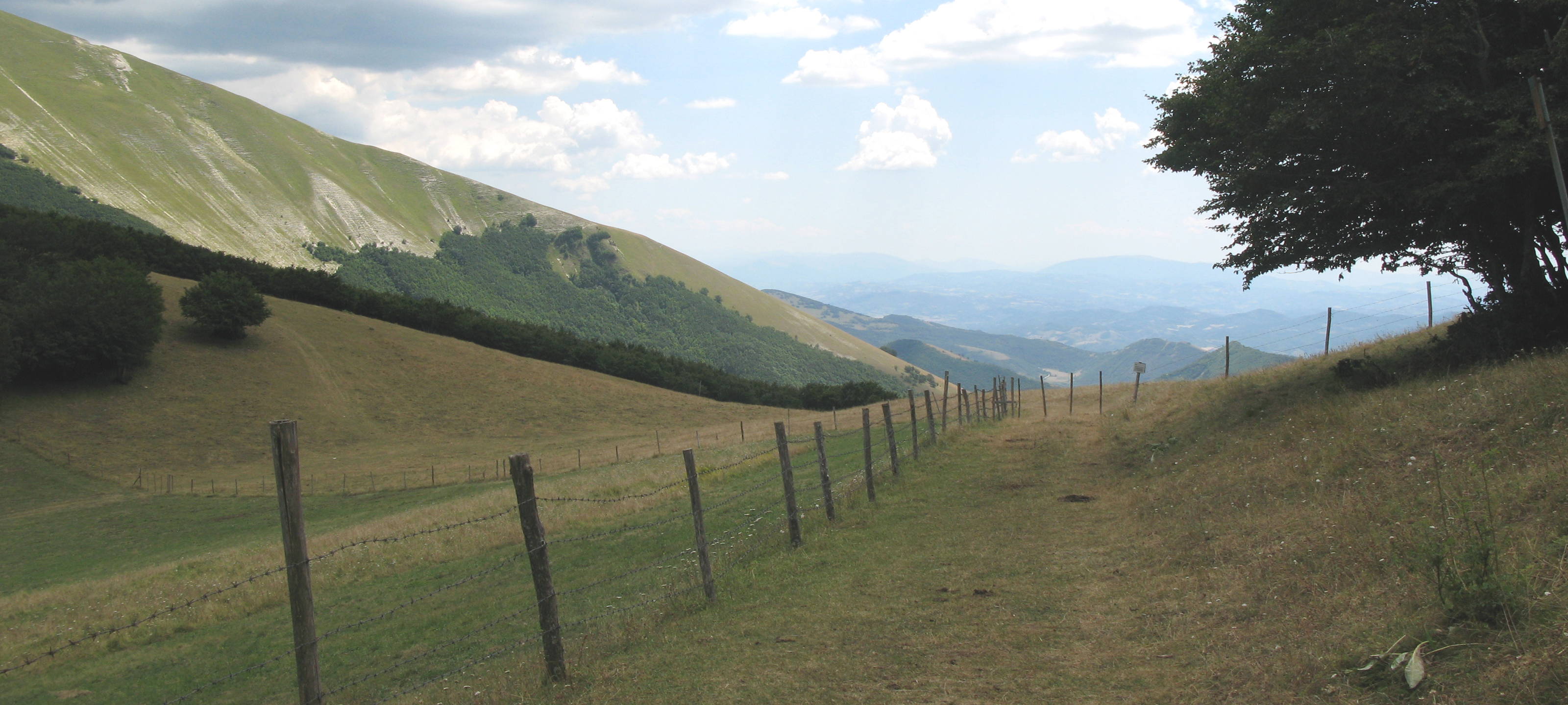 Monte Catria Sentiero 64 - immagine 8