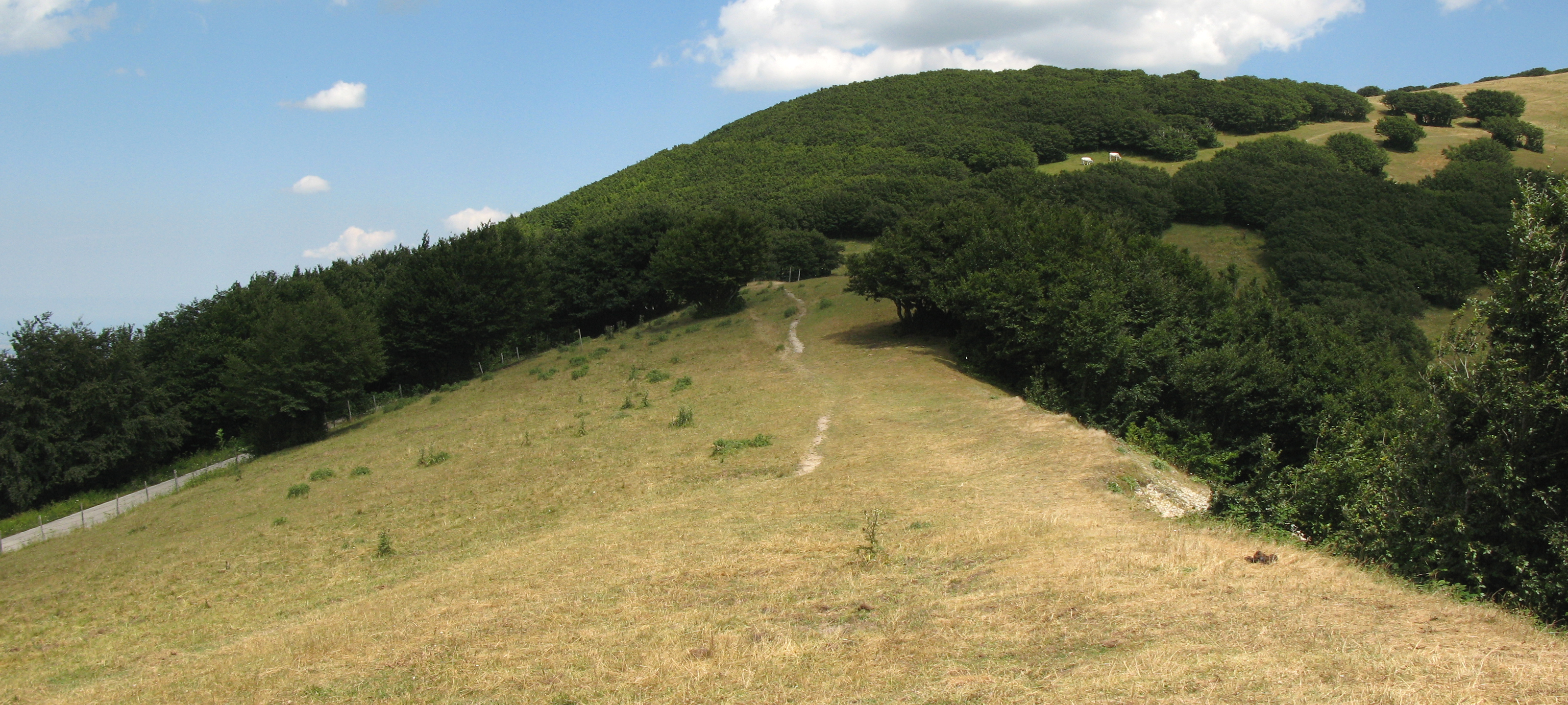 Monte Catria Sentiero 64 - immagine 11