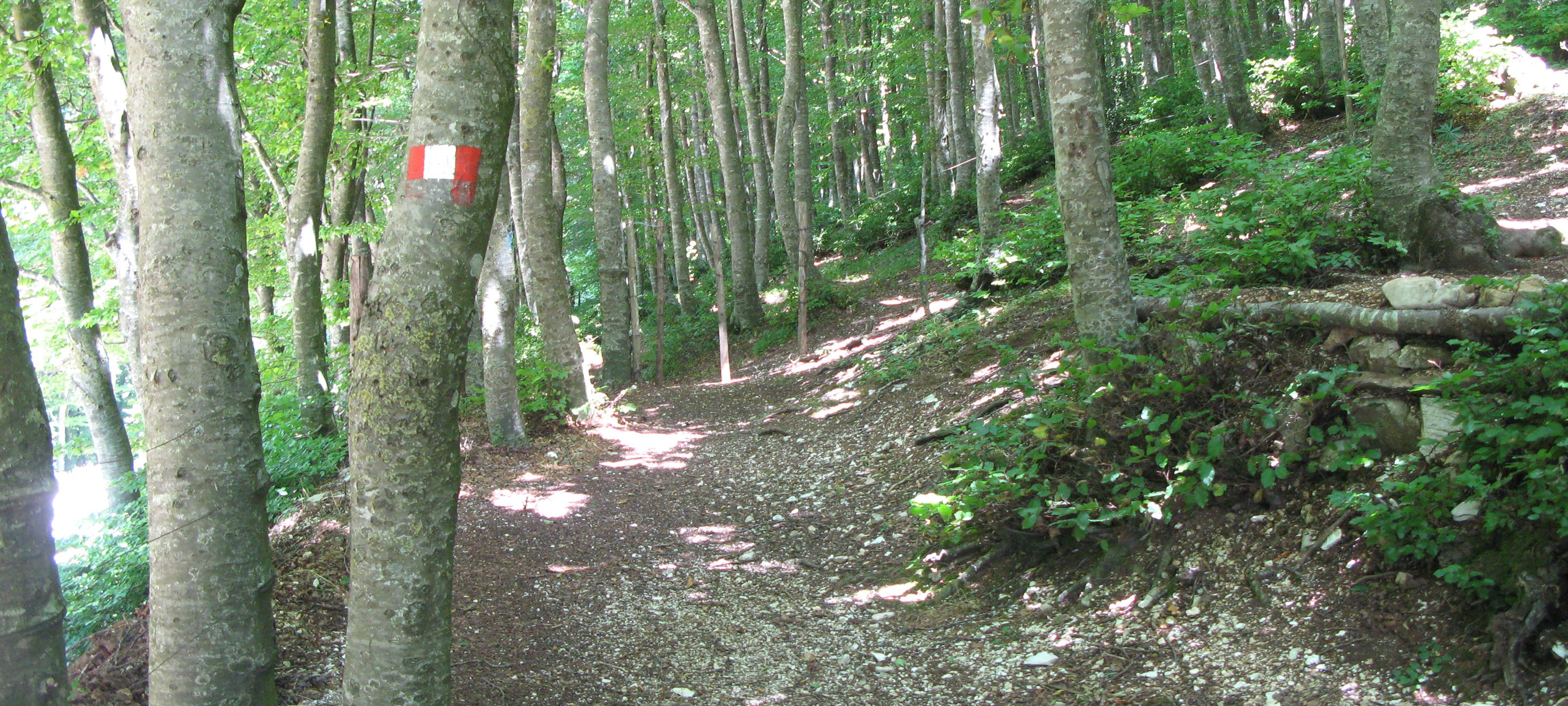 Monte Catria Sentiero 65 - immagine 2