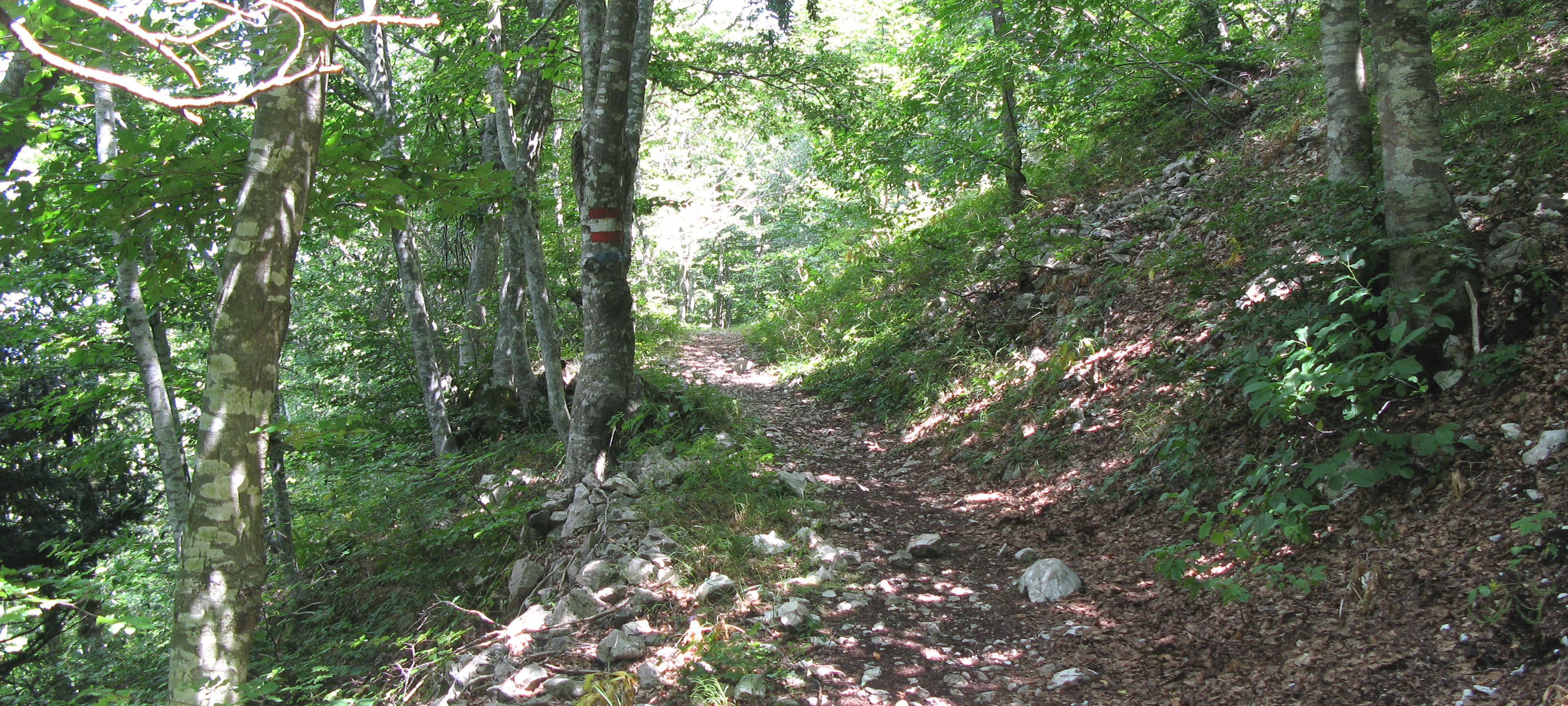Monte Catria Sentiero 65 - immagine 4