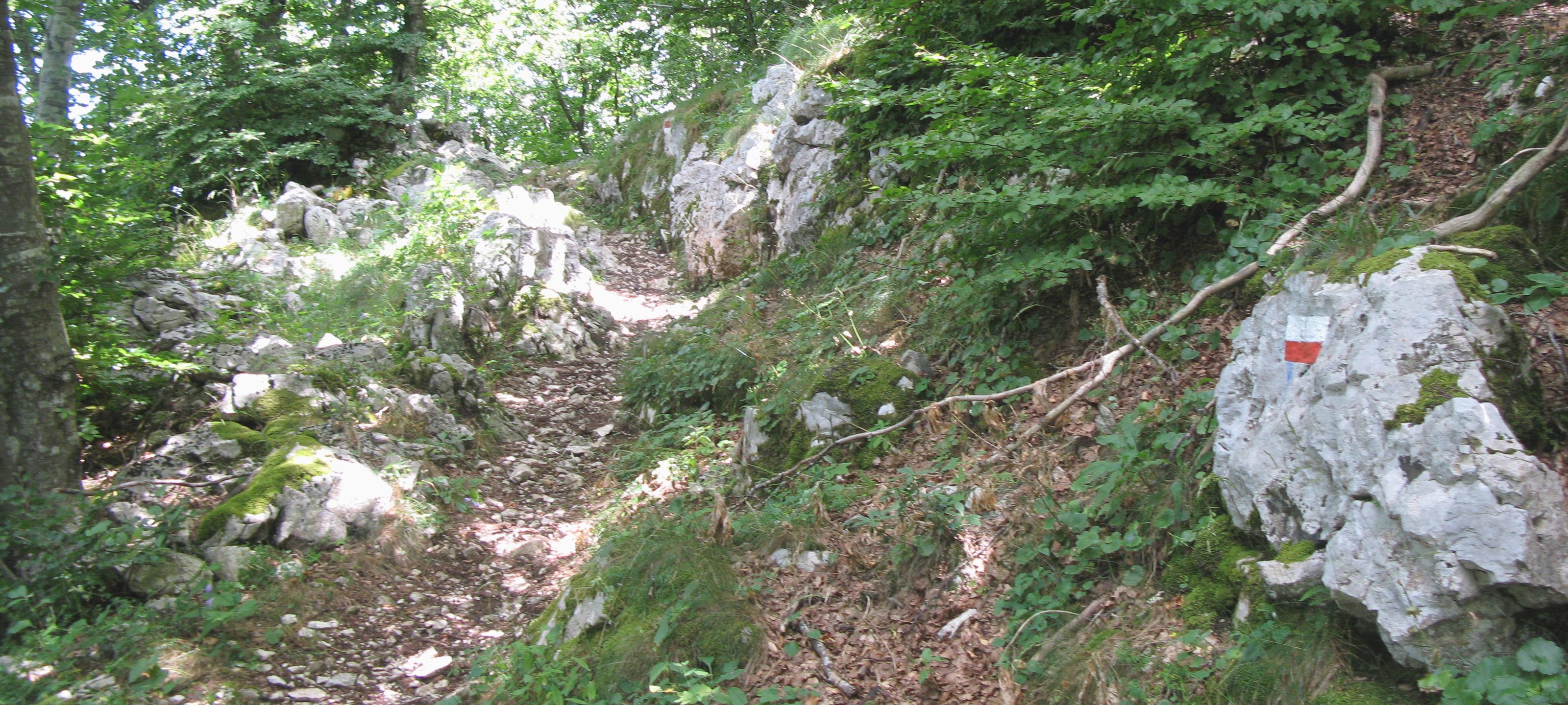 Monte Catria Sentiero 65 - immagine 5