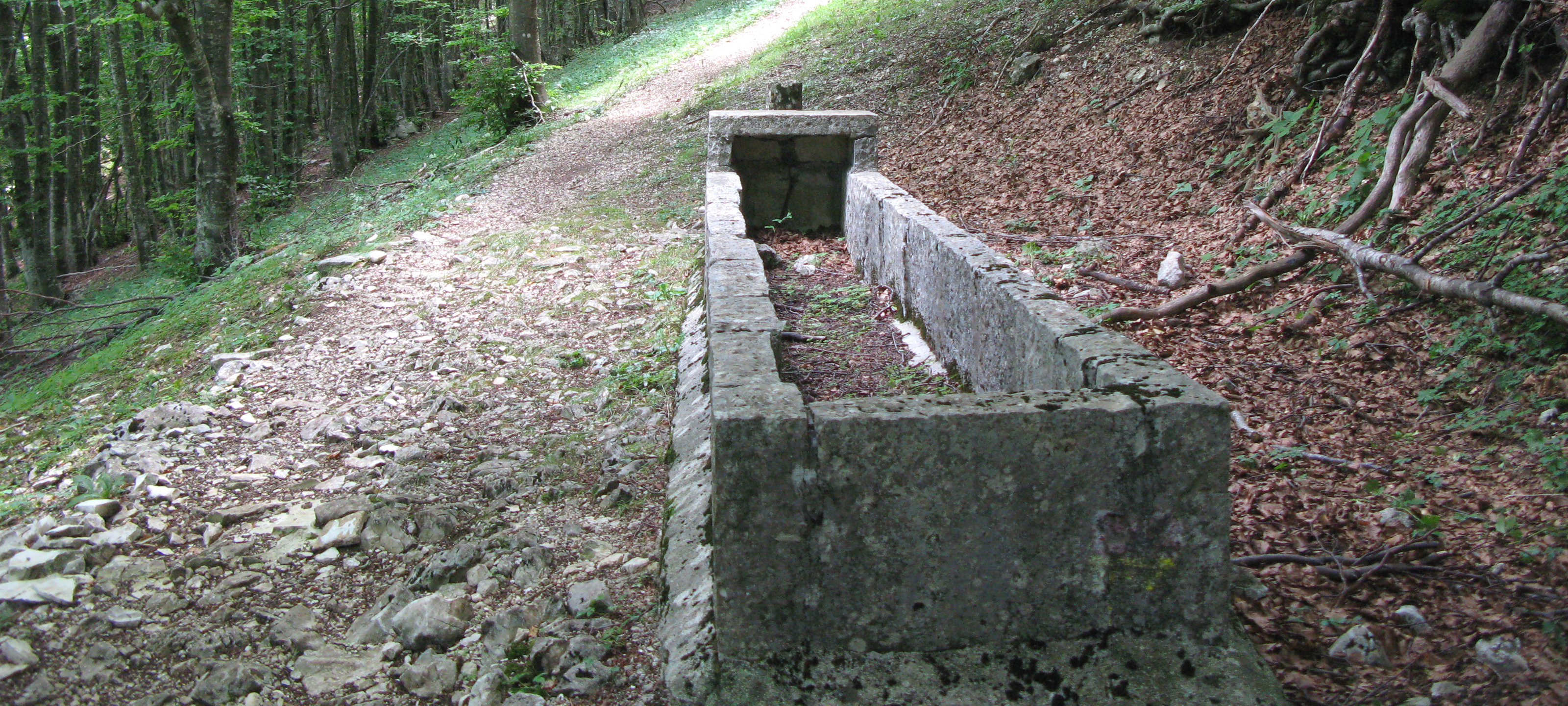 Monte Catria Sentiero 65 - immagine 6