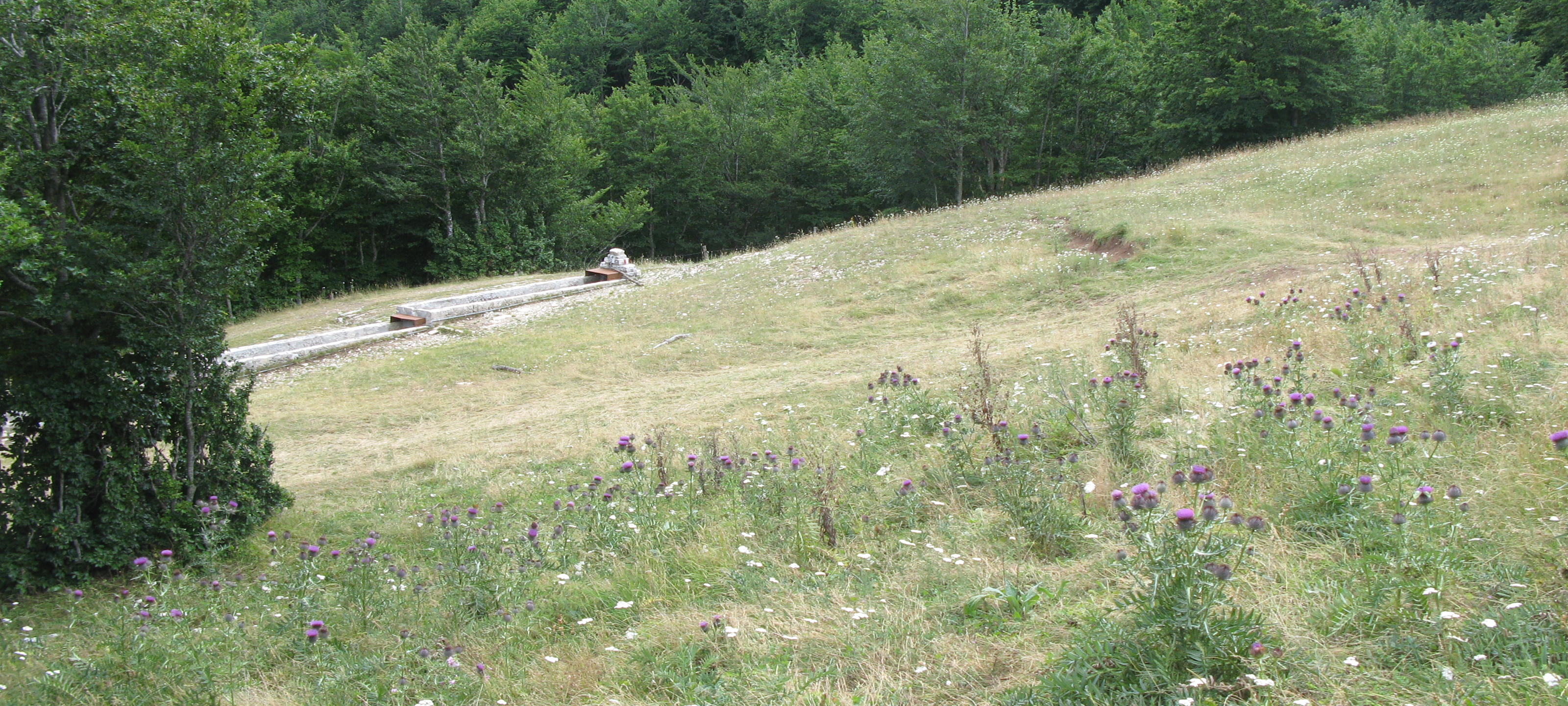 Monte Catria Sentiero 65 - immagine 8