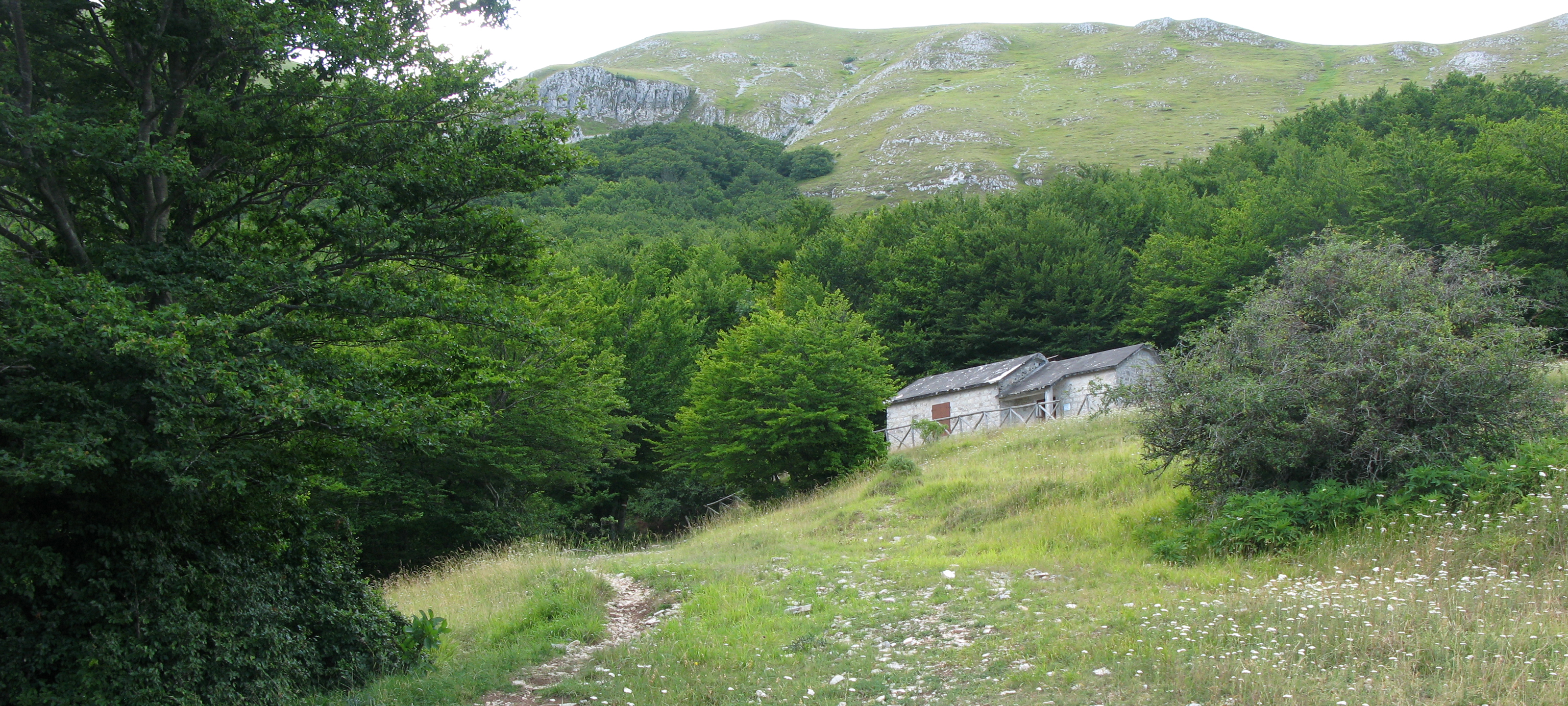 Monte Catria Sentiero 65 - immagine 9 (Rifugio Le Gorghe)