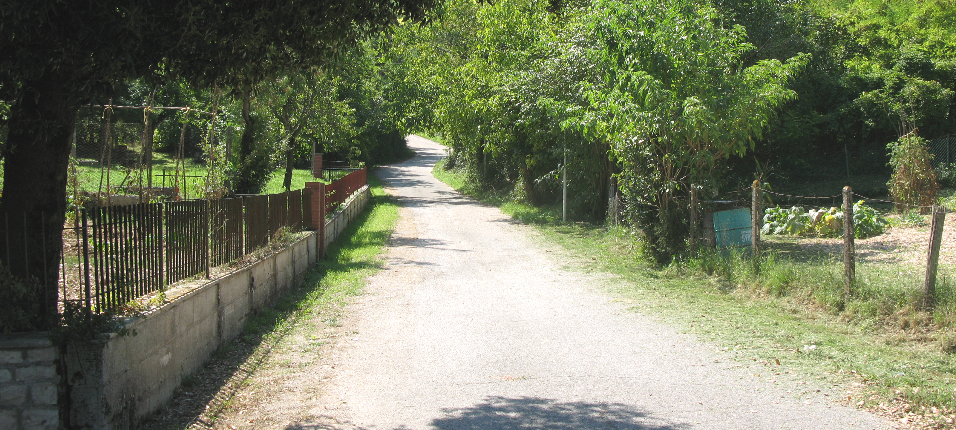 Monte Catria Sentiero 66 - immagine 1