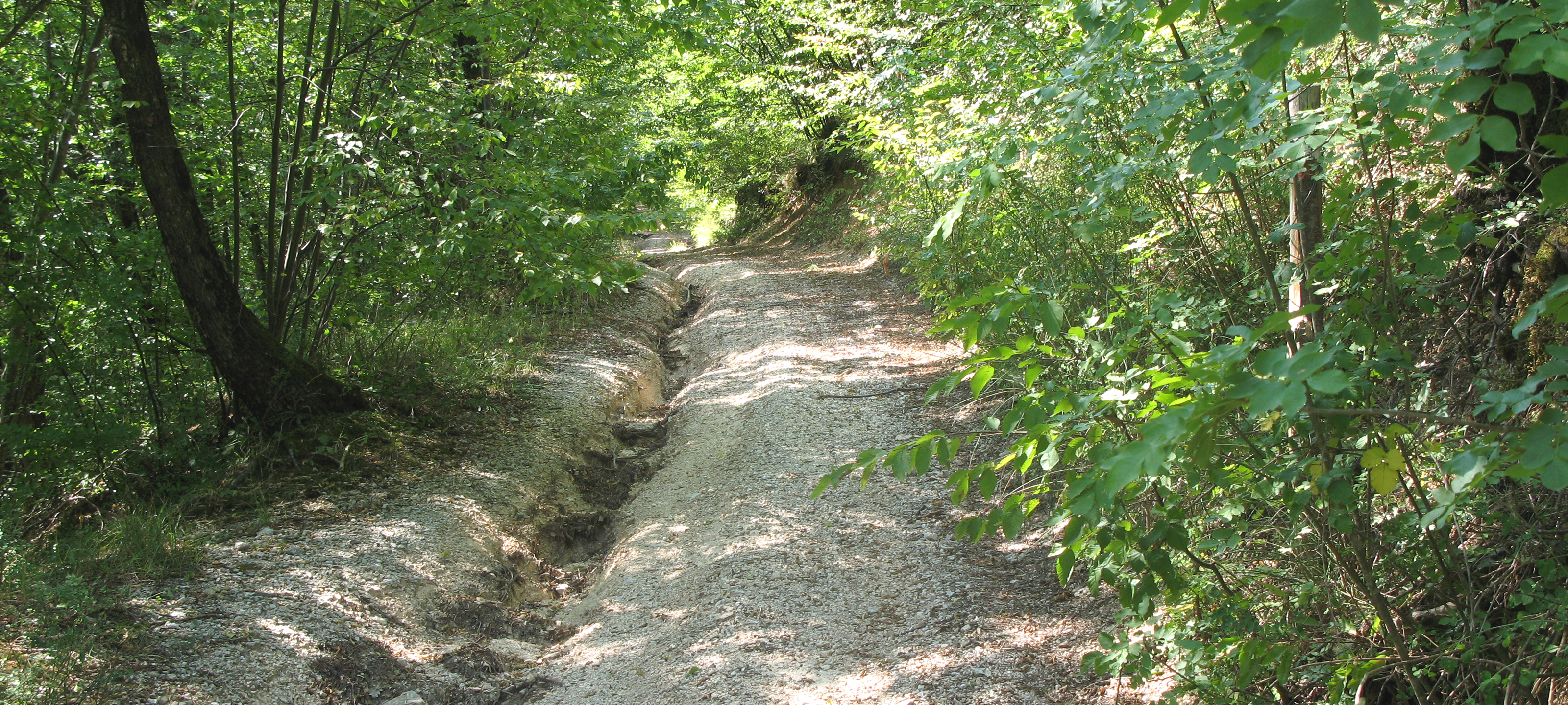 Monte Catria Sentiero 66 - immagine 2
