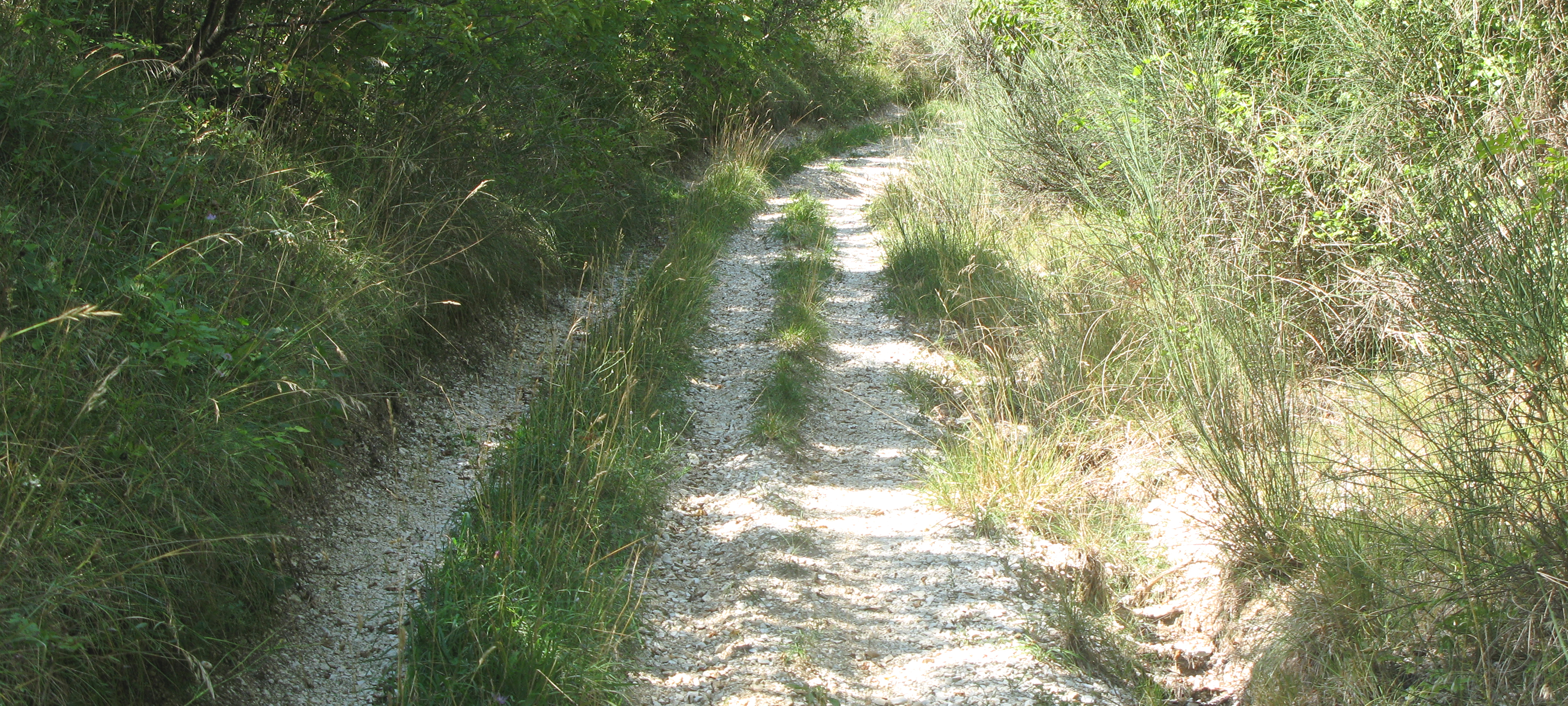 Monte Catria Sentiero 66 - immagine 3
