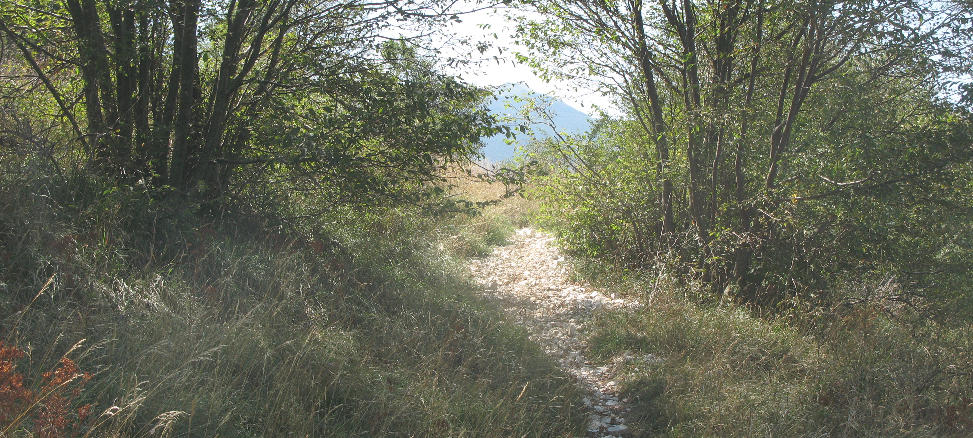 Monte Catria Sentiero 66 - immagine 4