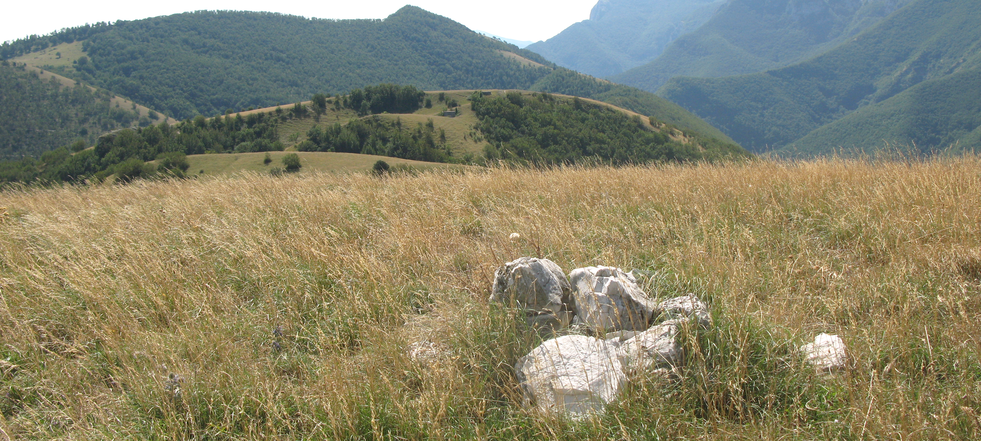 Monte Catria Sentiero 66 - immagine 5 (Monte Roma)