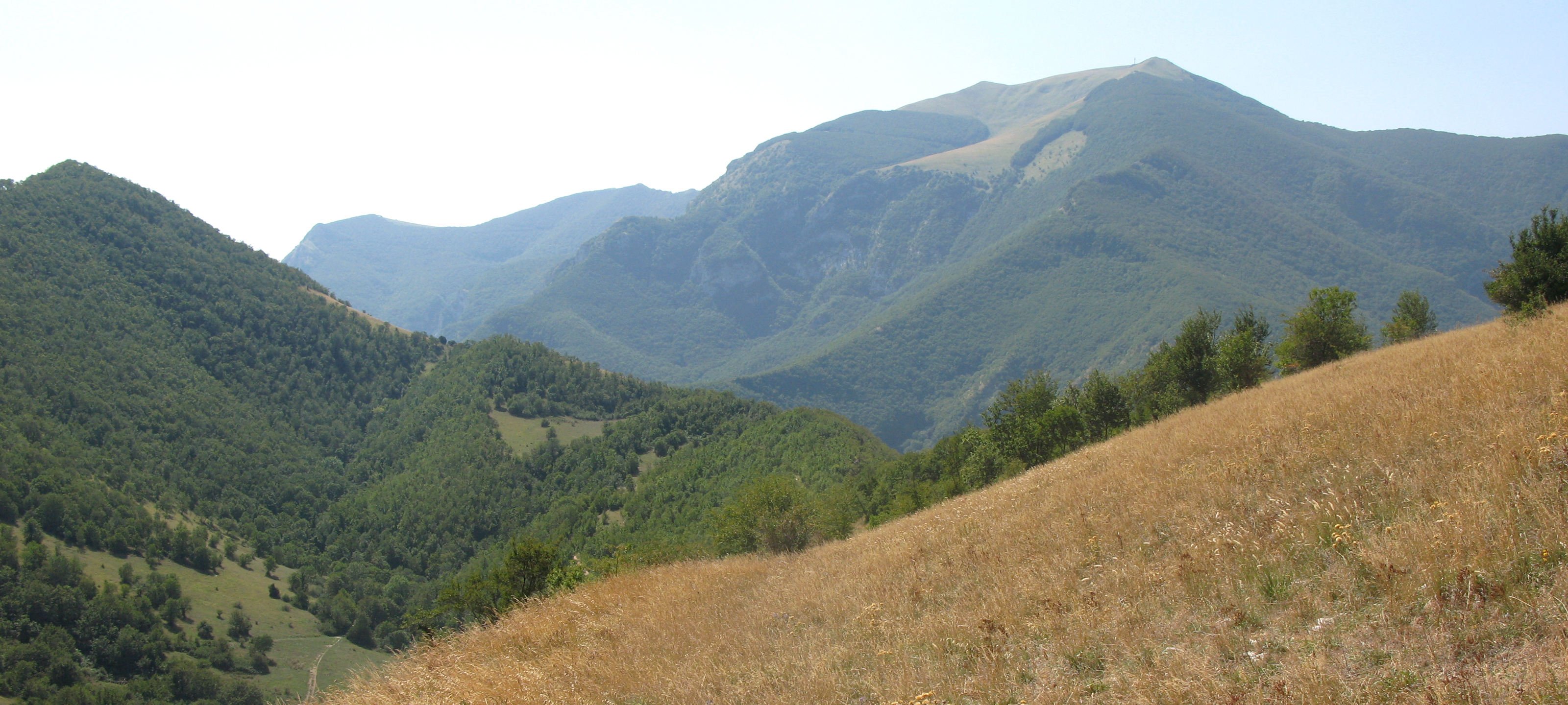 Monte Catria Sentiero 66 - immagine 6