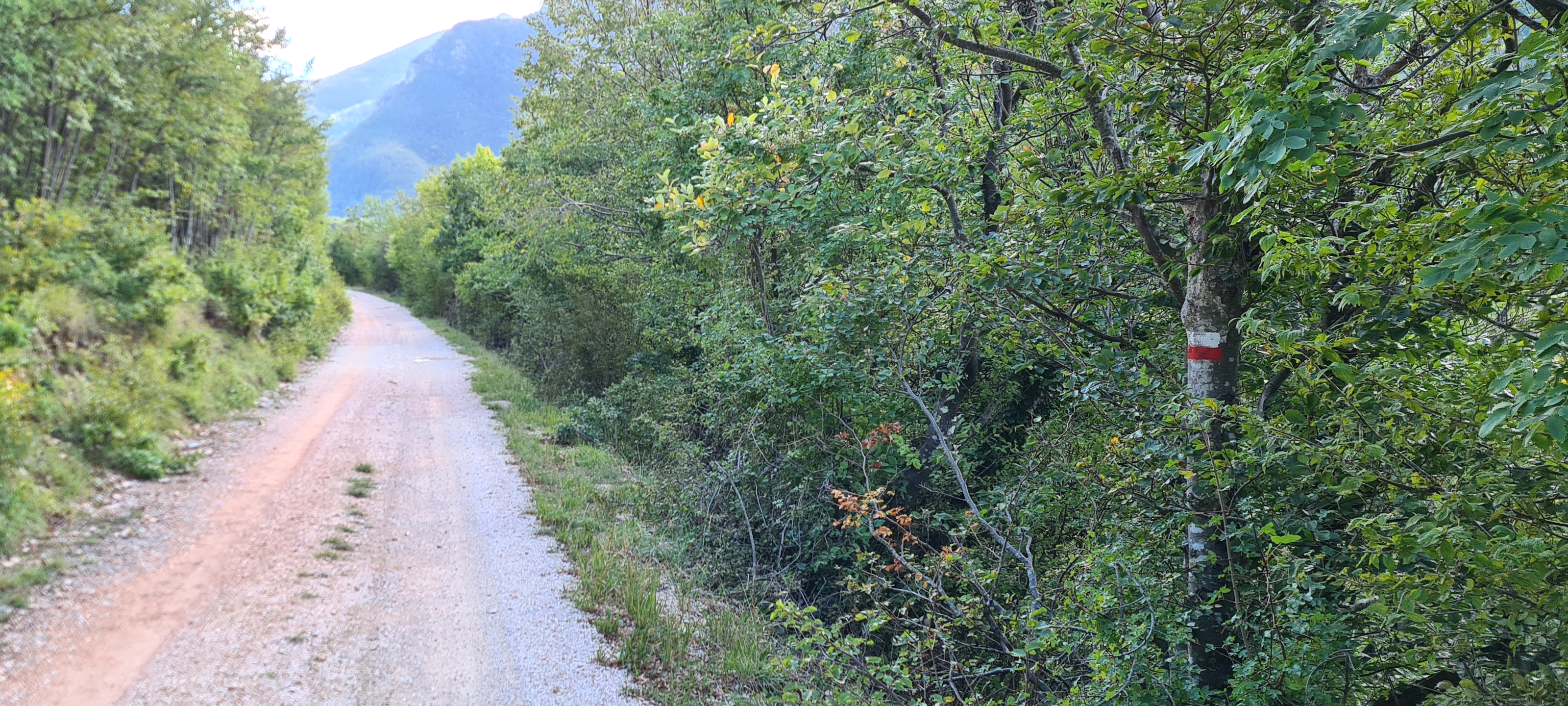 Monte Catria Sentiero 66 - immagine 8