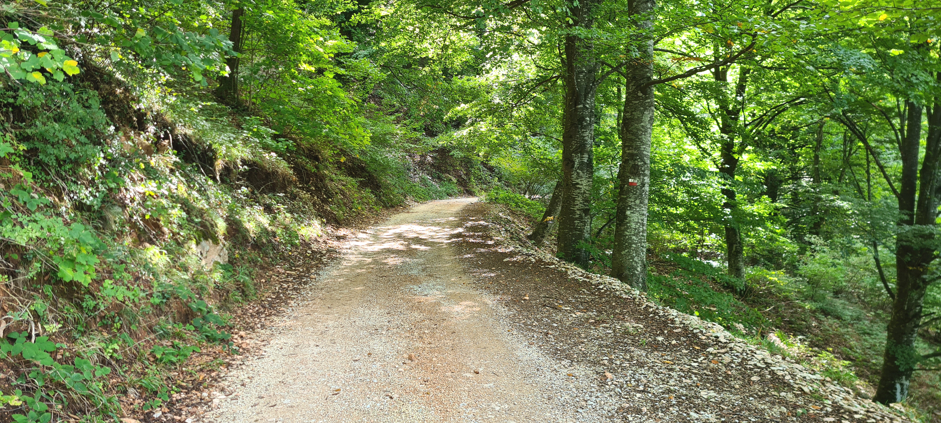 Monte Catria Sentiero 66 - immagine 10
