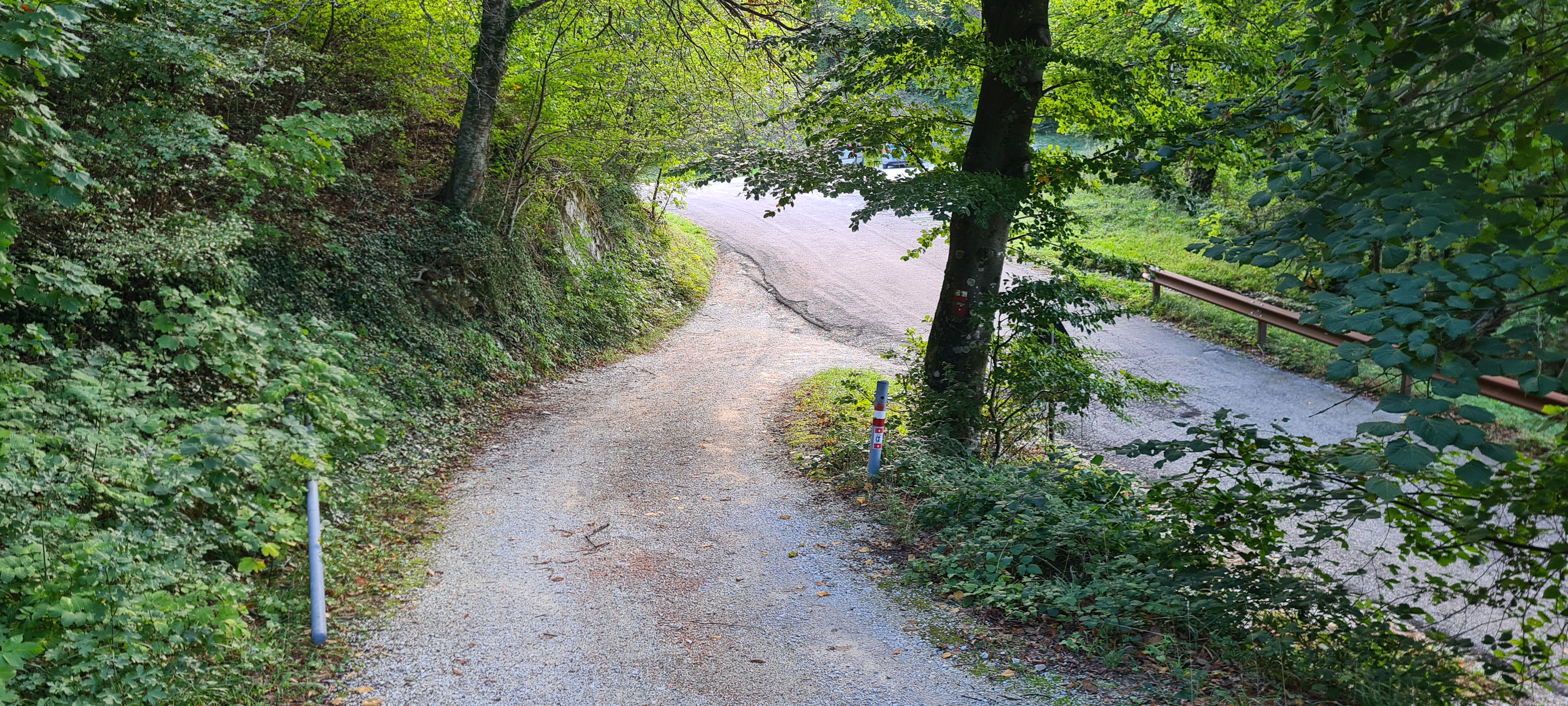 Monte Catria Sentiero 66 - immagine 11