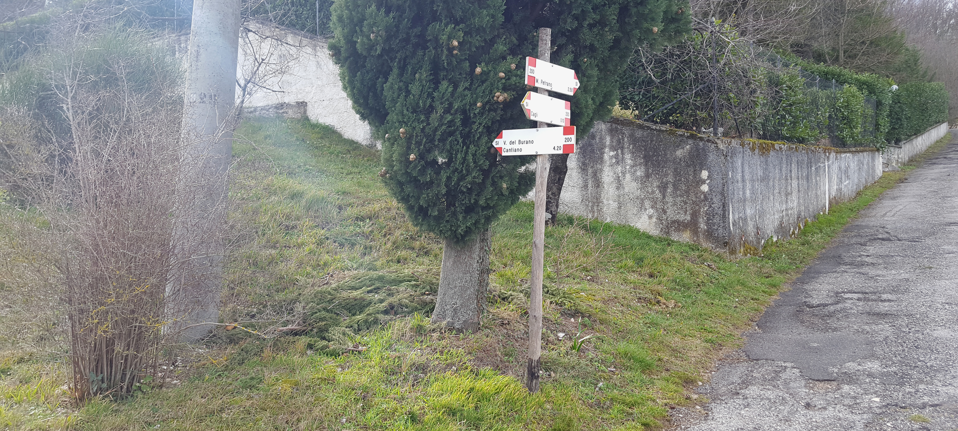 Monte Petrano Sentiero 67 - immagine 2