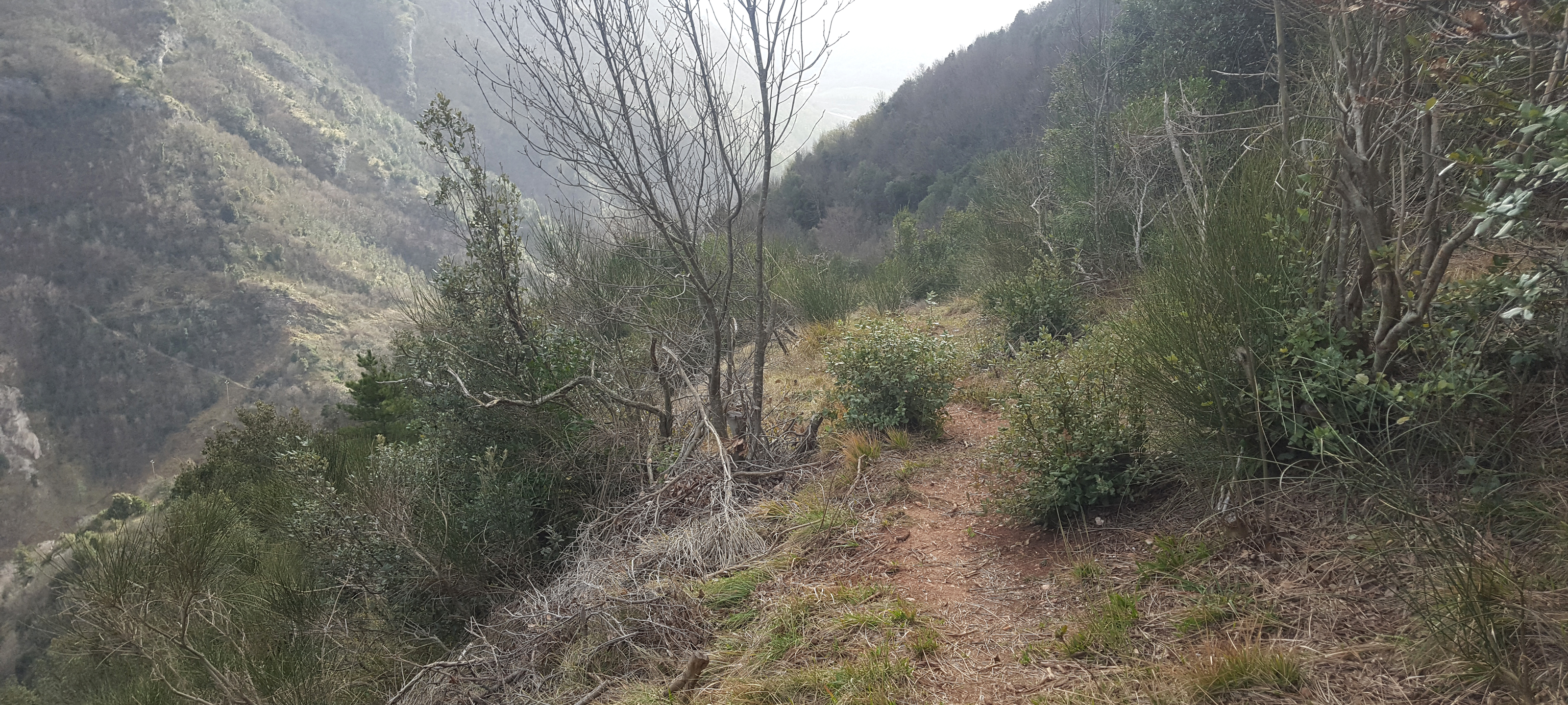 Monte Petrano Sentiero 67 - immagine 8